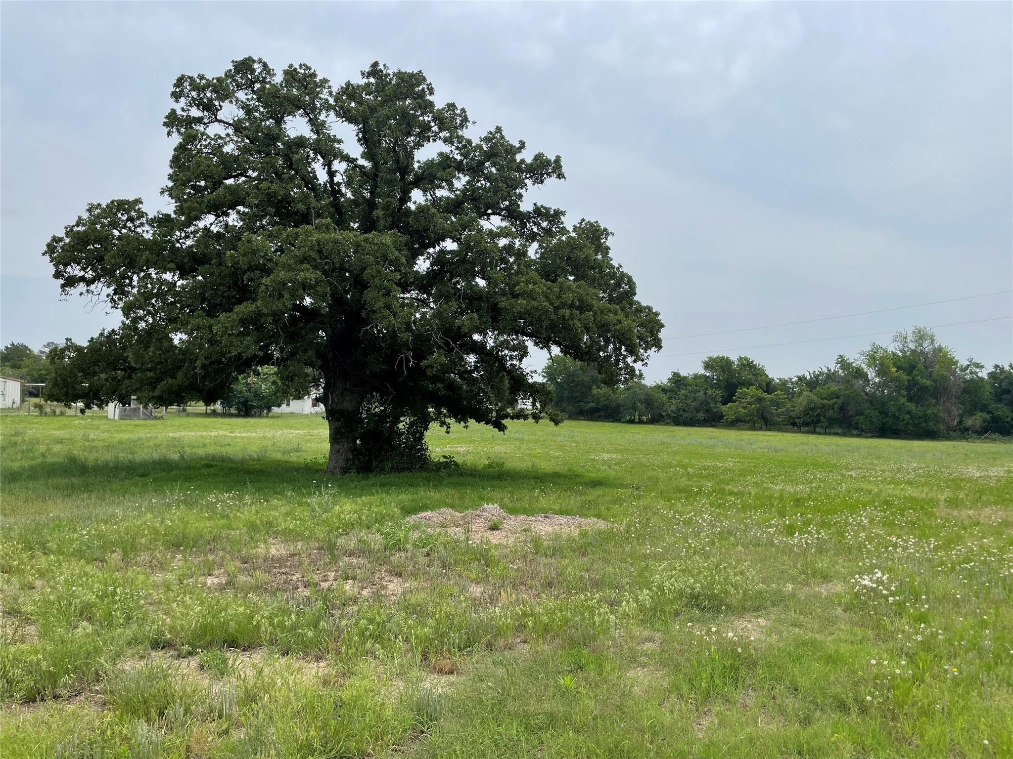 main property photo 10