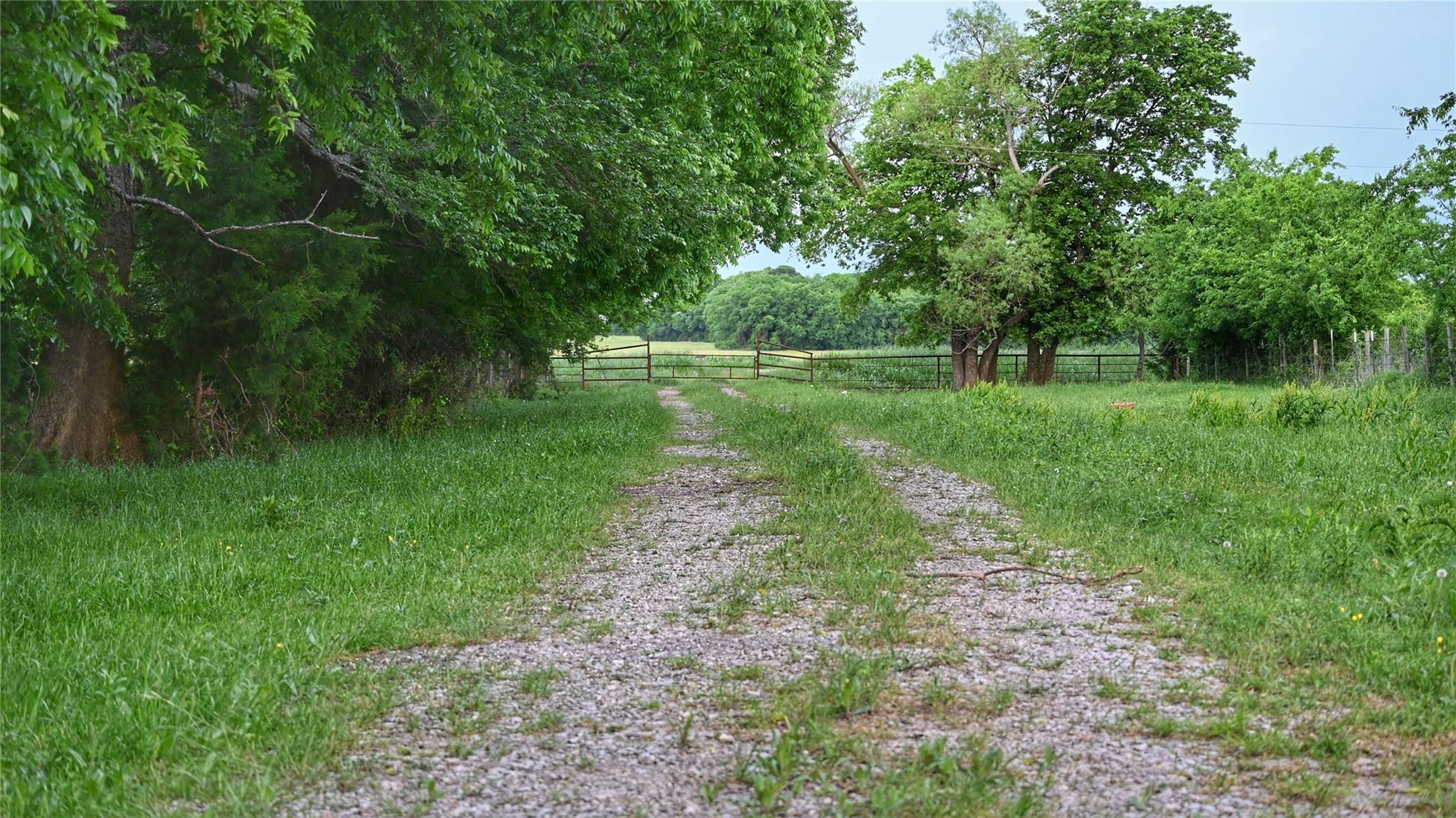 main property photo 11