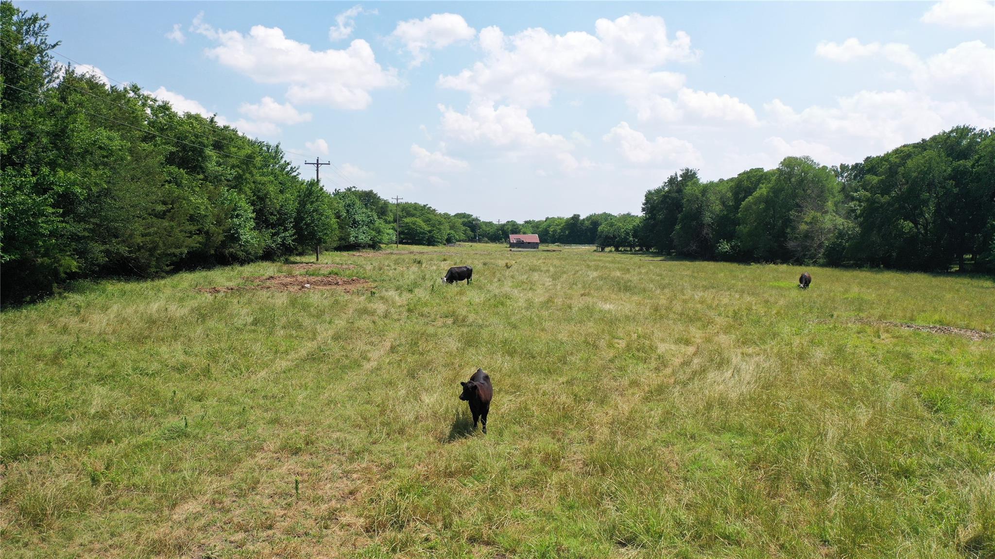 main property photo 16