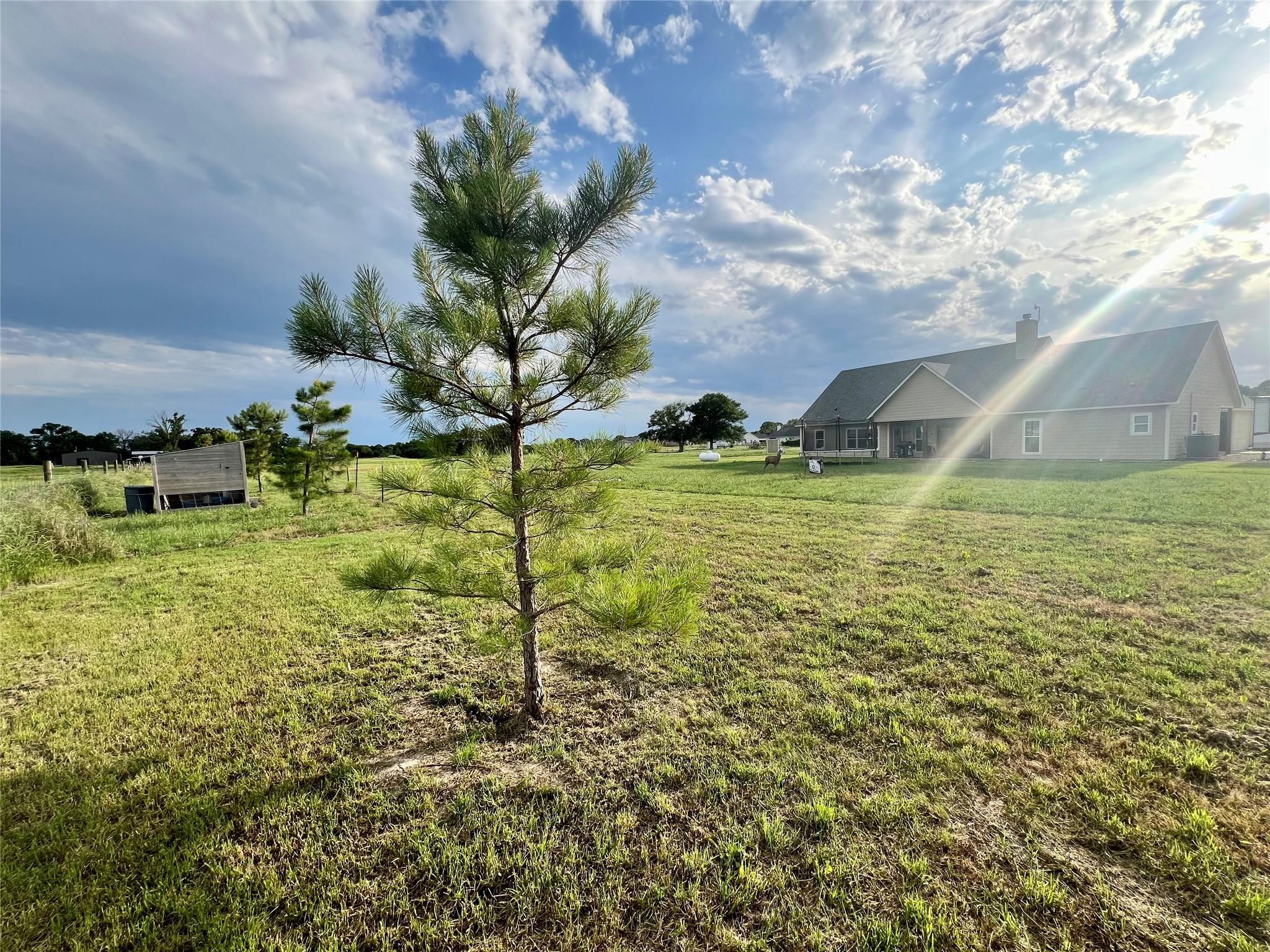 main property photo 23