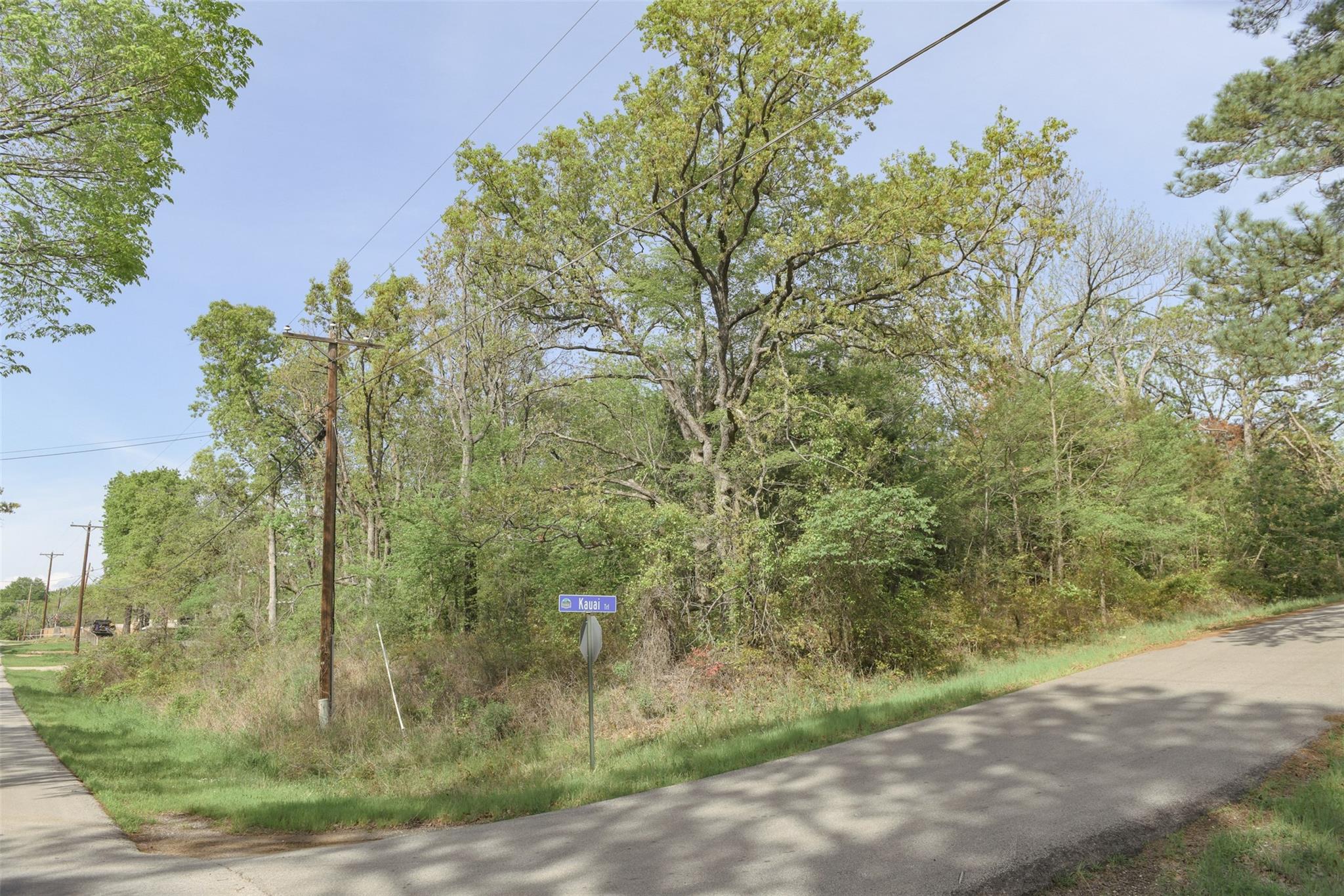 main property photo 14
