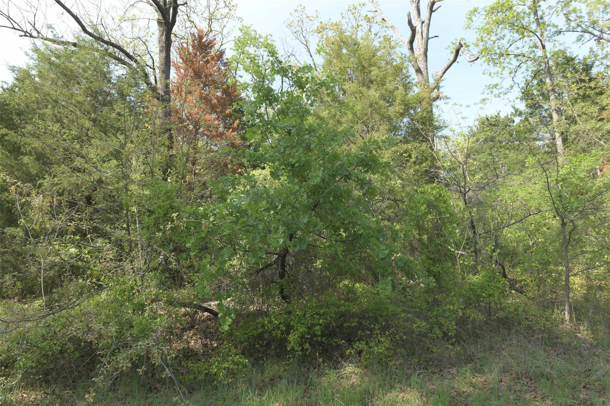 main property photo 17