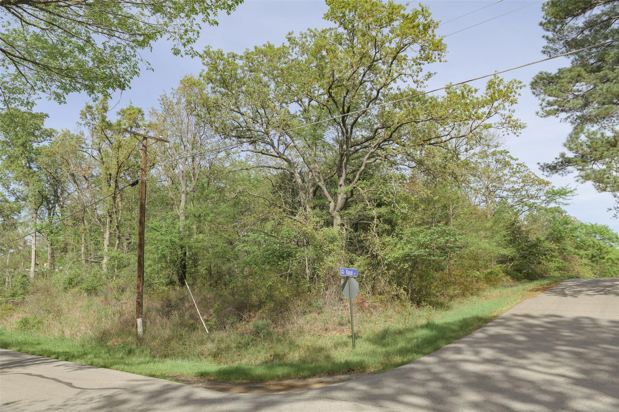main property photo 18