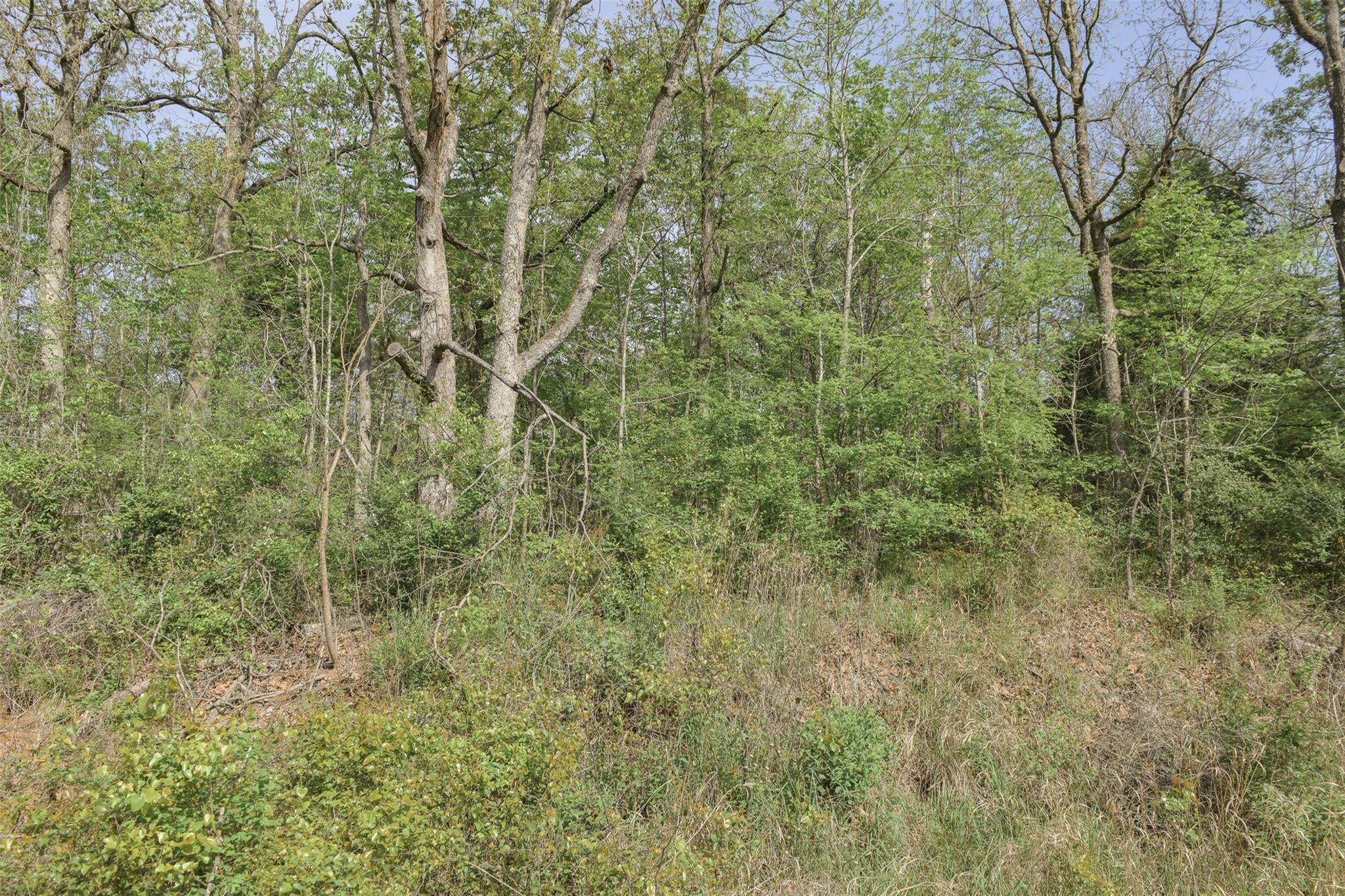 main property photo 24