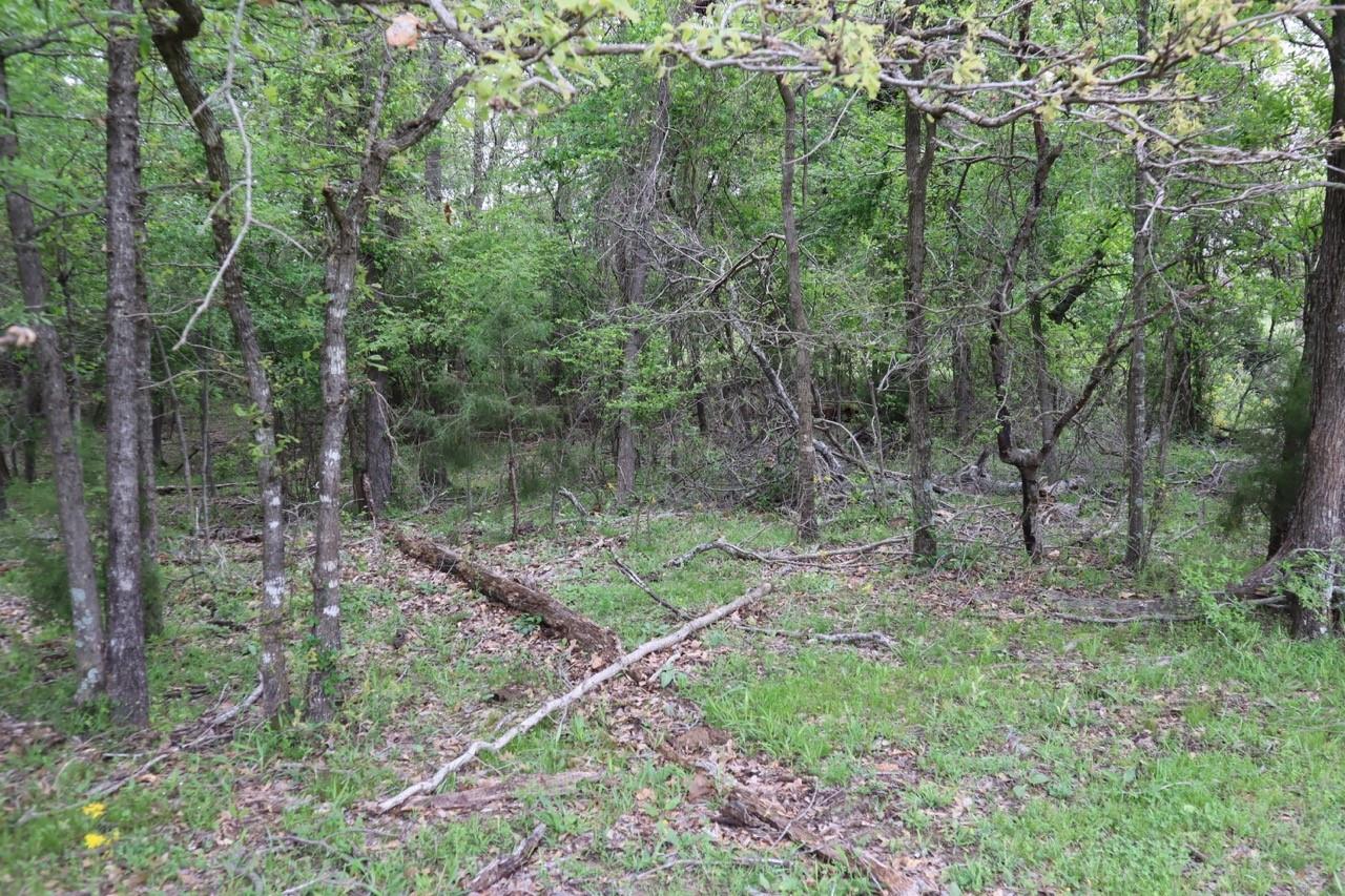 main property photo 9