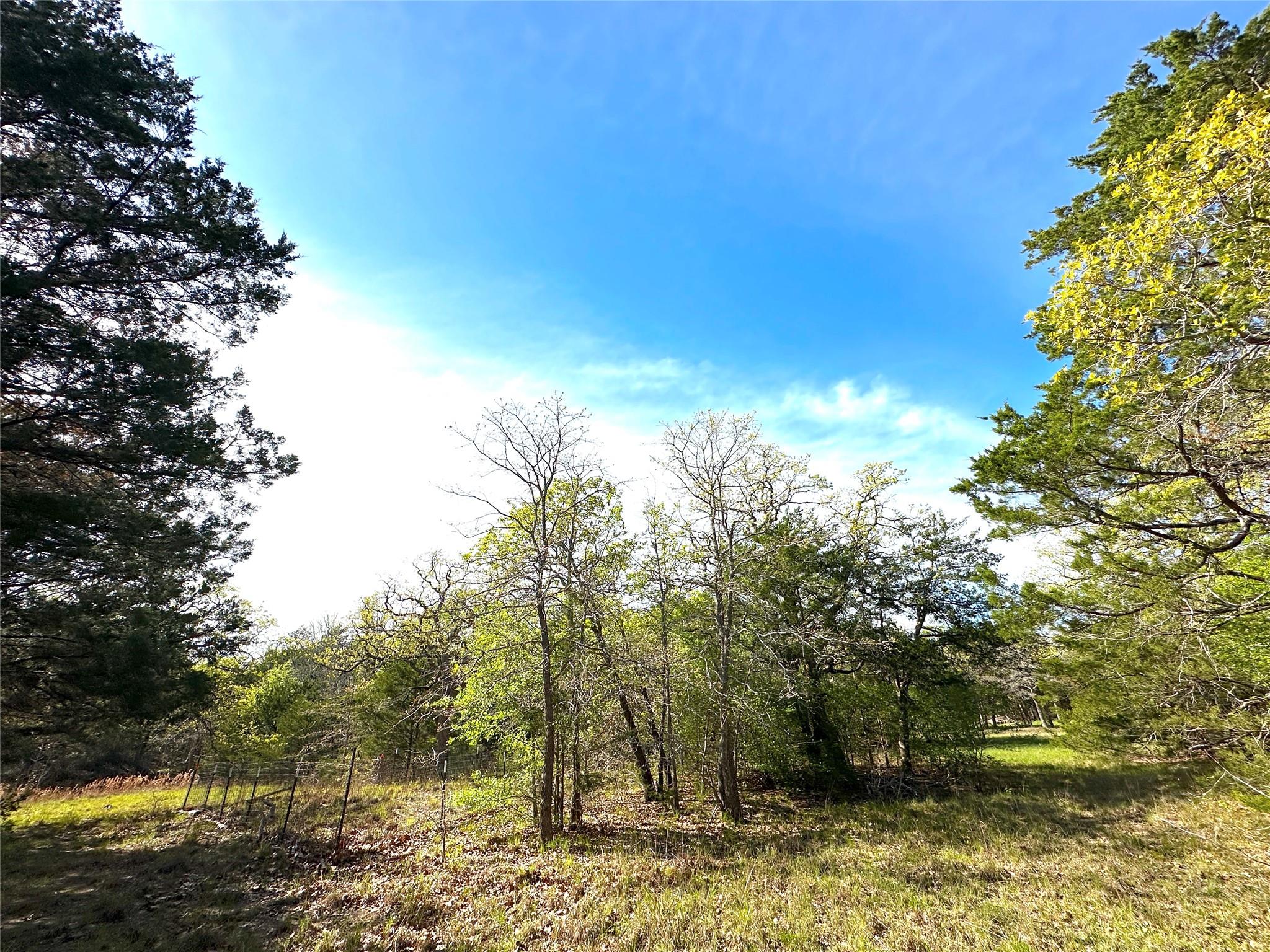 main property photo 25