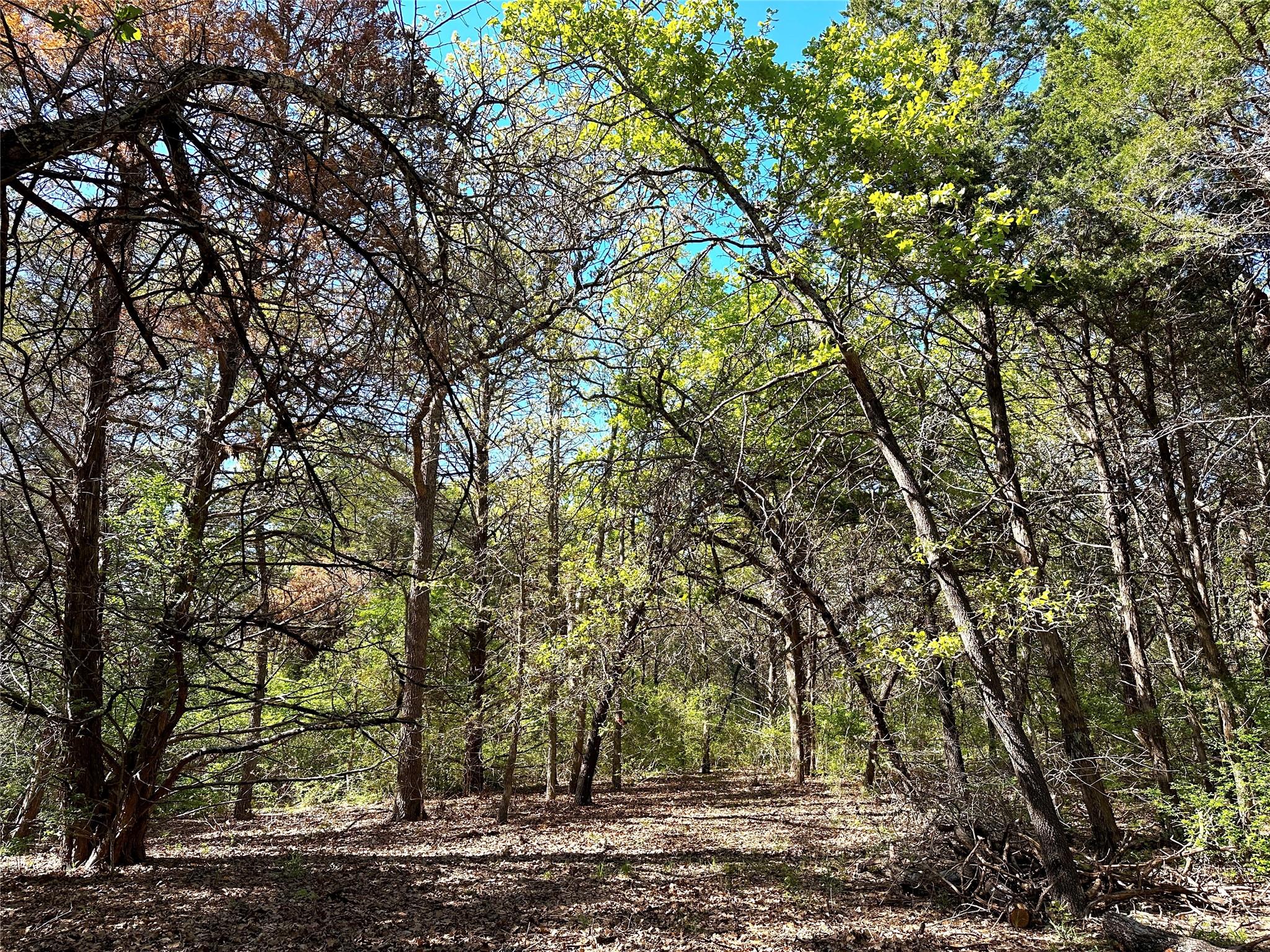 main property photo 28