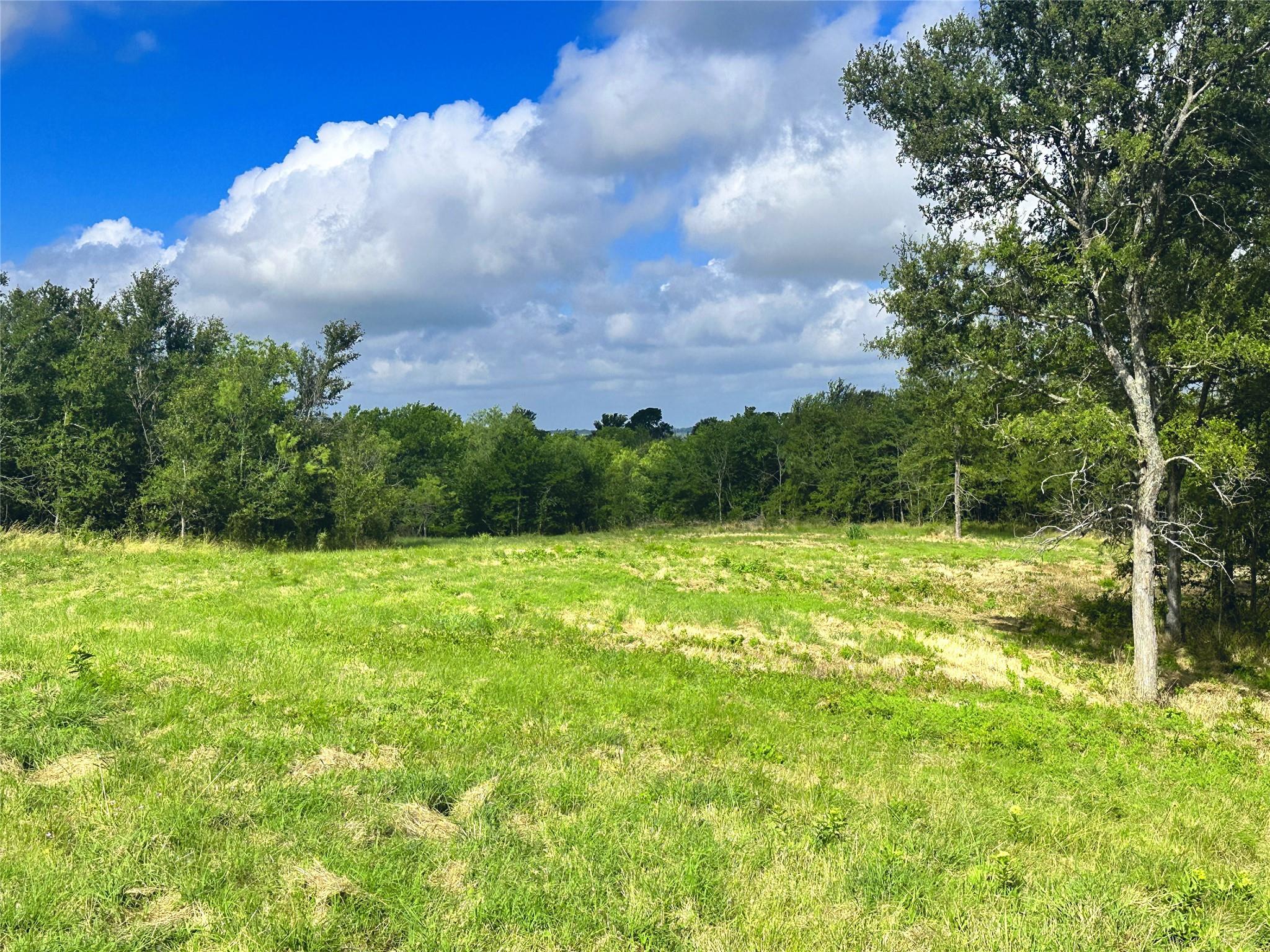 main property photo 16