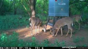 main property photo 10