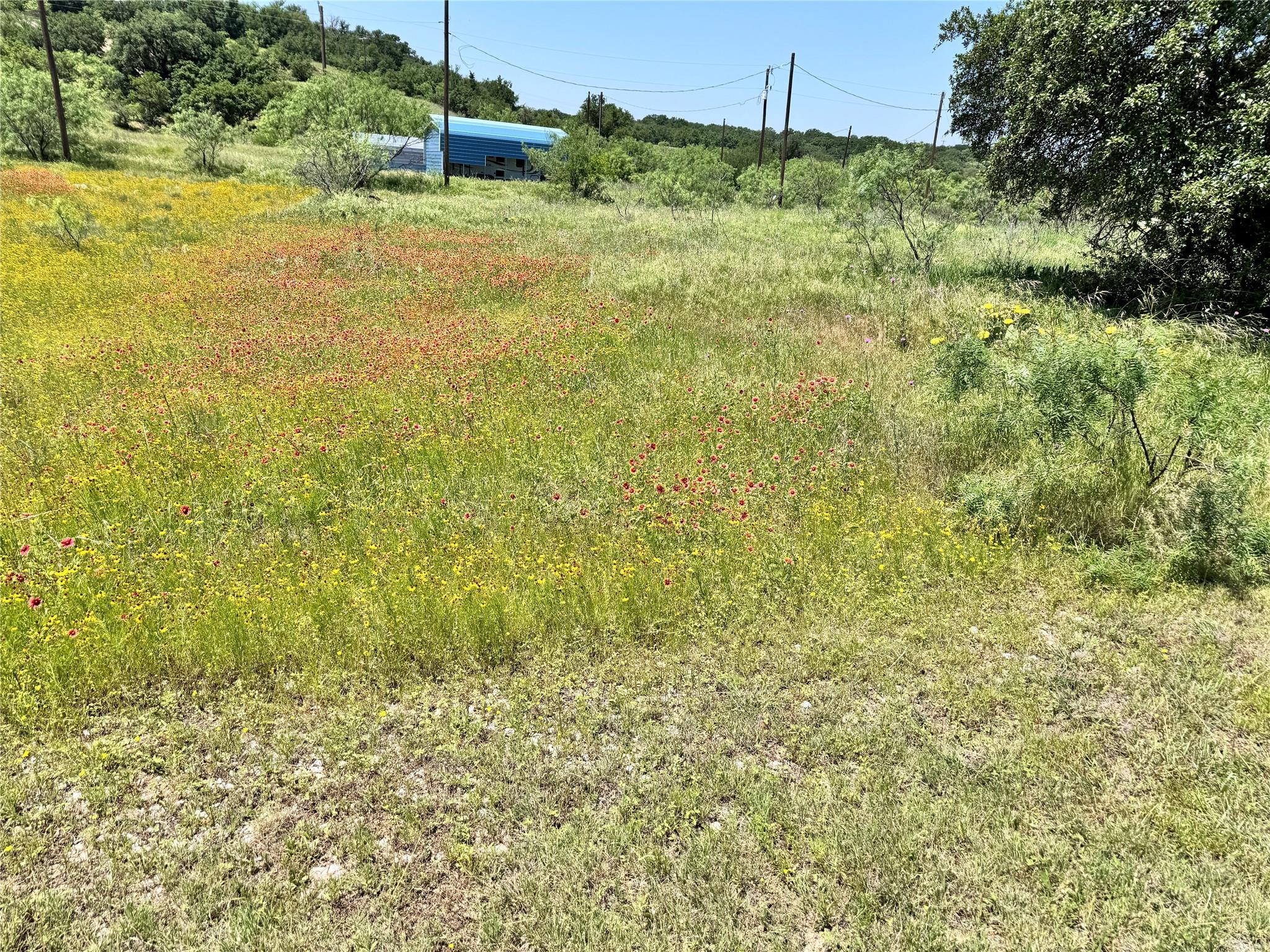 main property photo 7