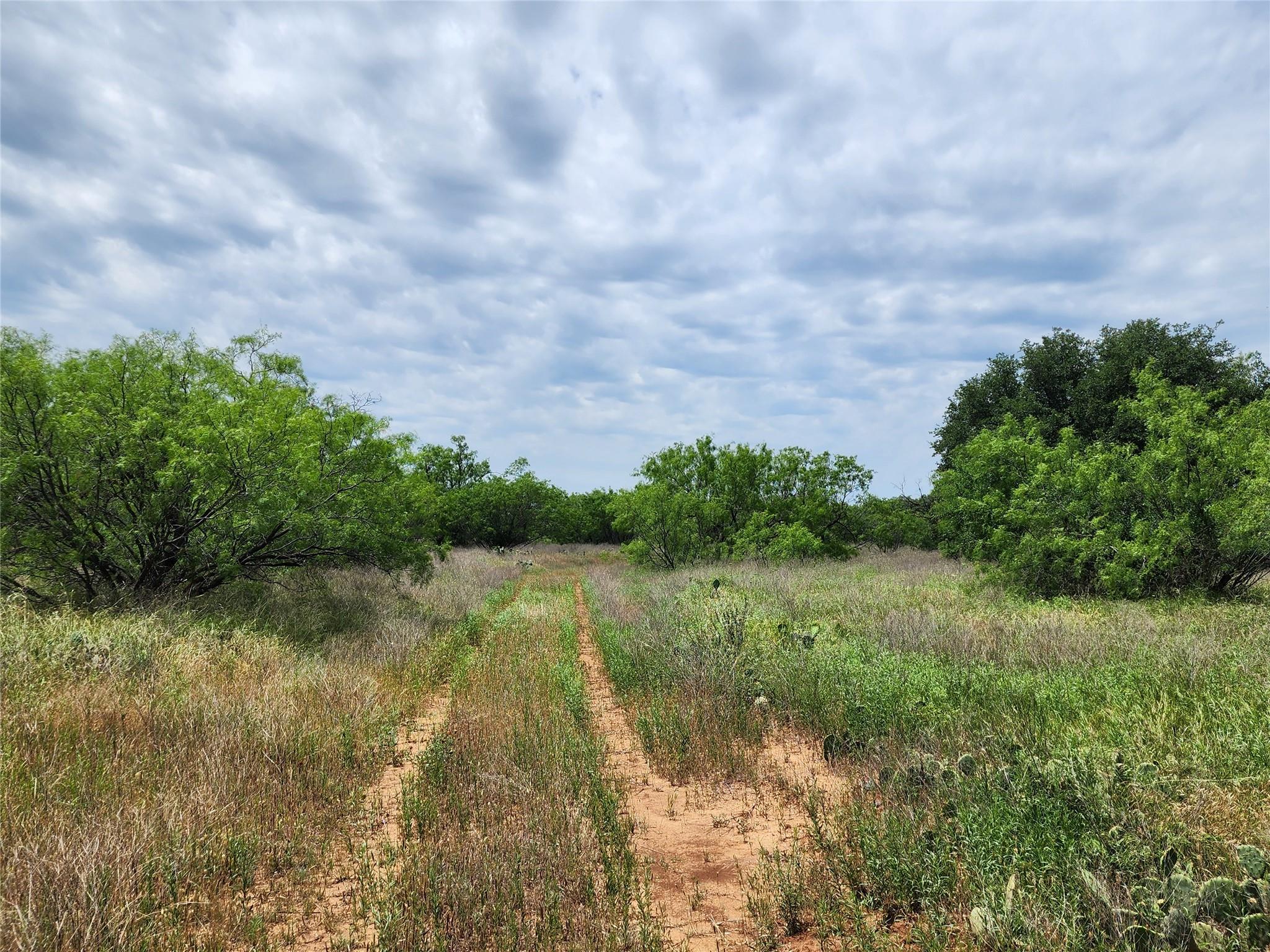 main property photo 11