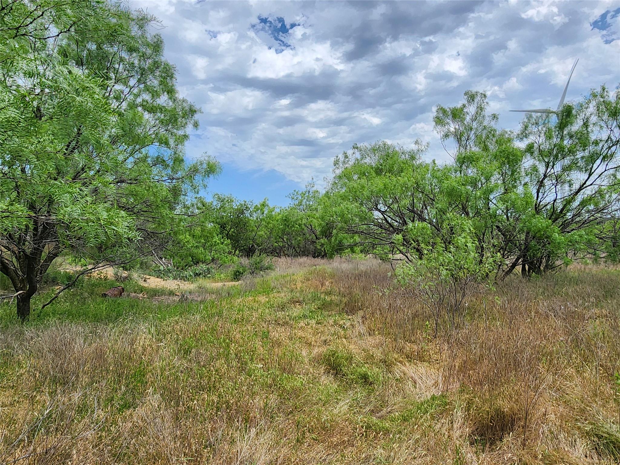 main property photo 35