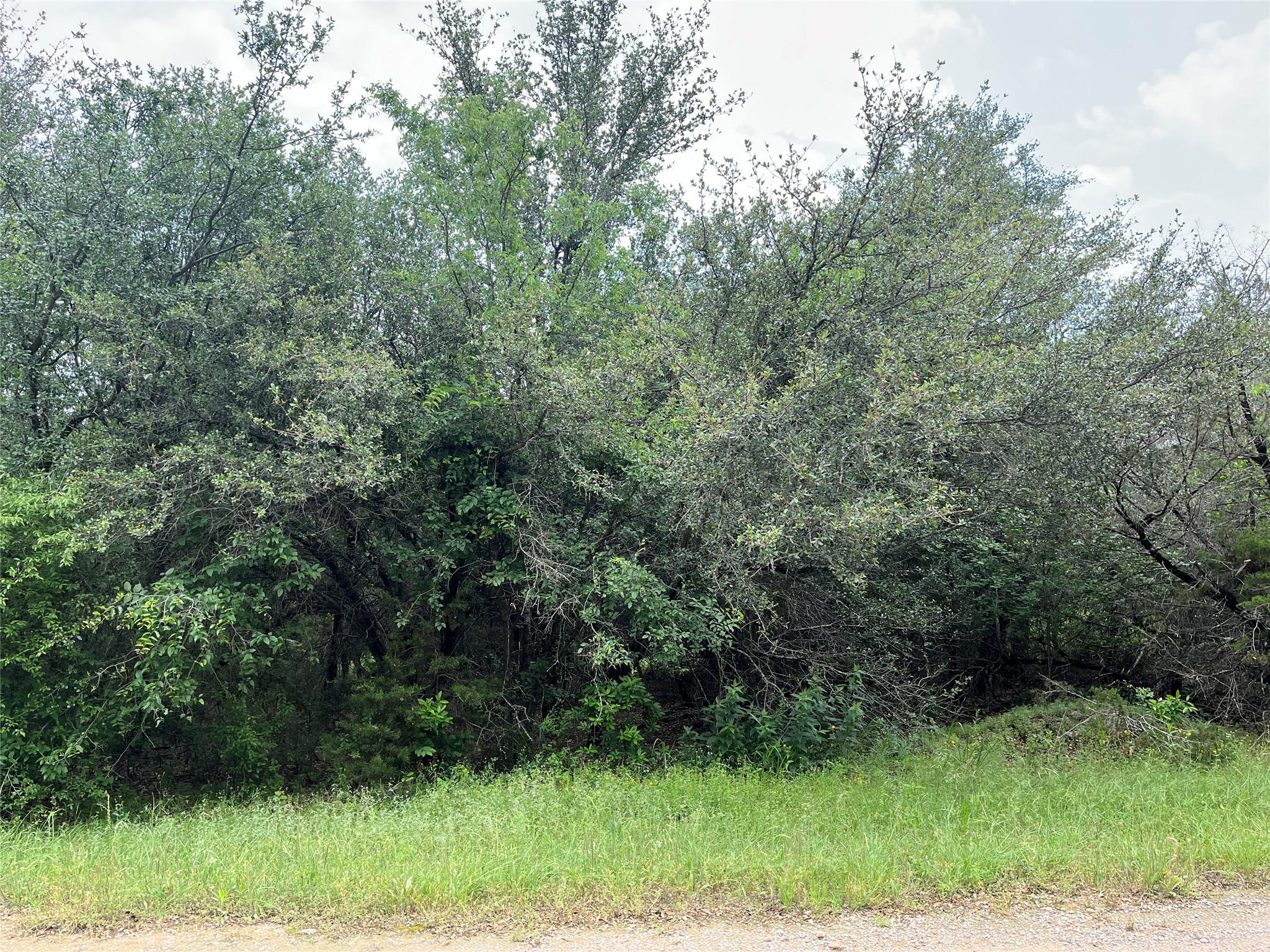 main property photo 18