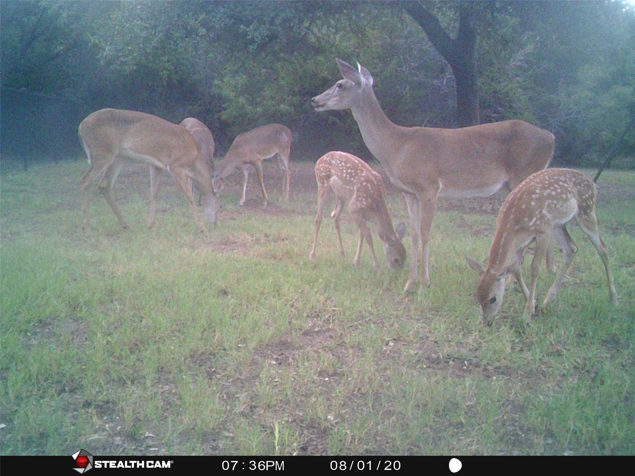 main property photo 9