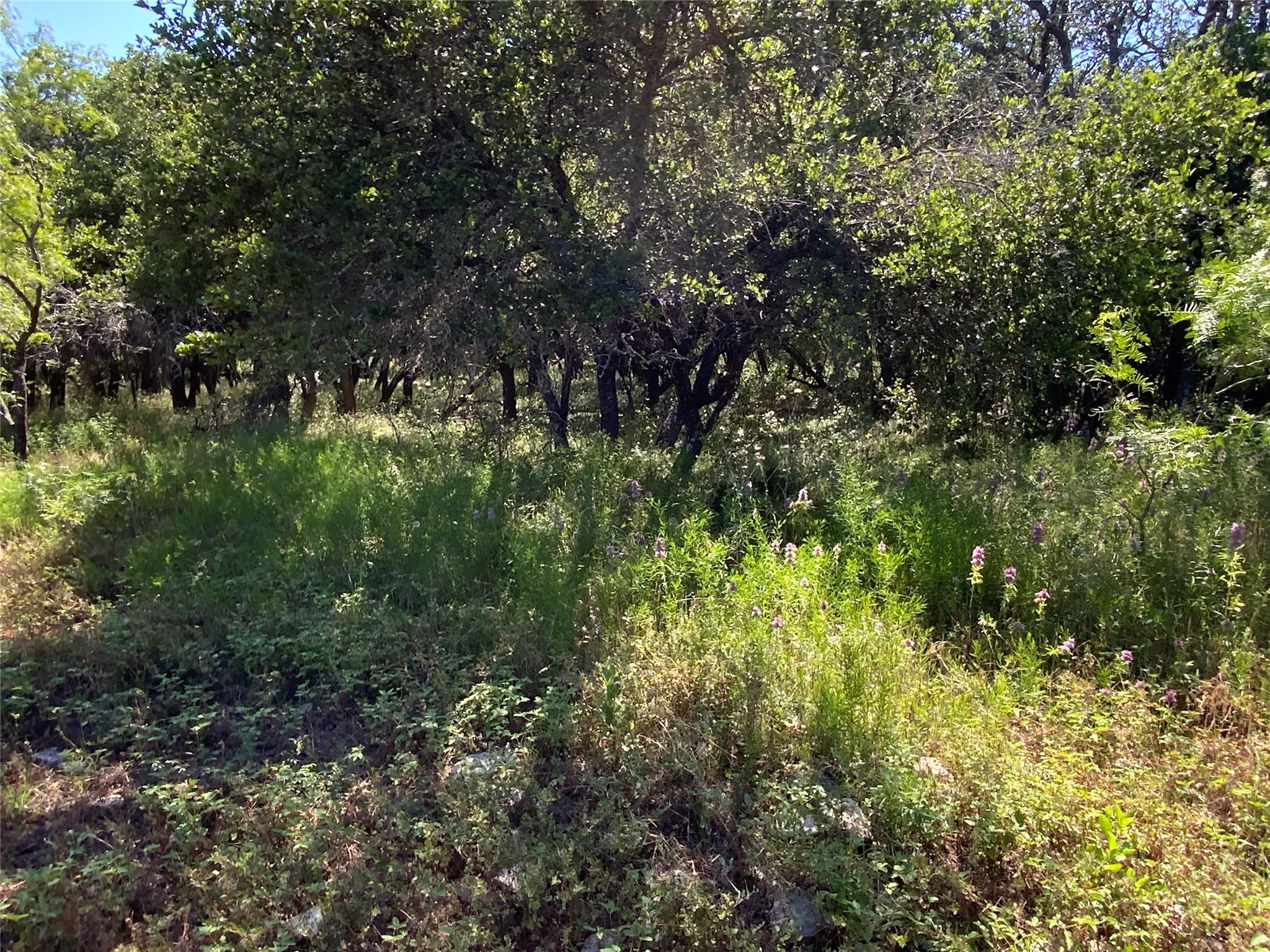 main property photo 27