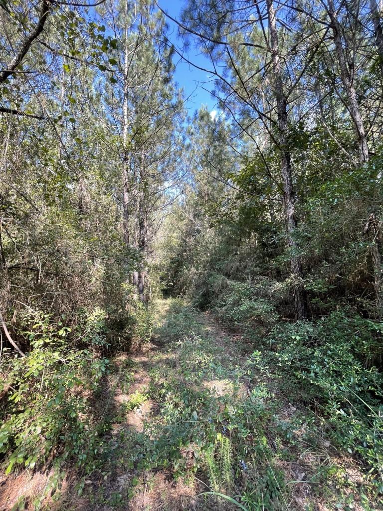 property viewer photo 1