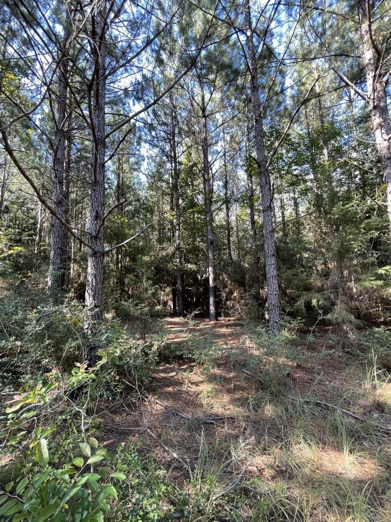 property viewer photo 10