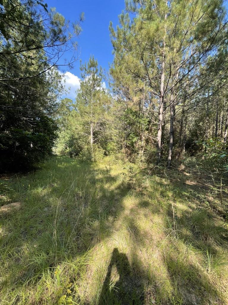 property viewer photo 4
