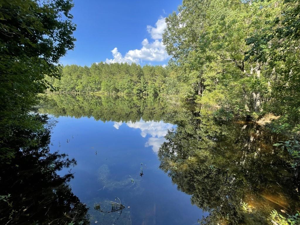 property viewer photo 7