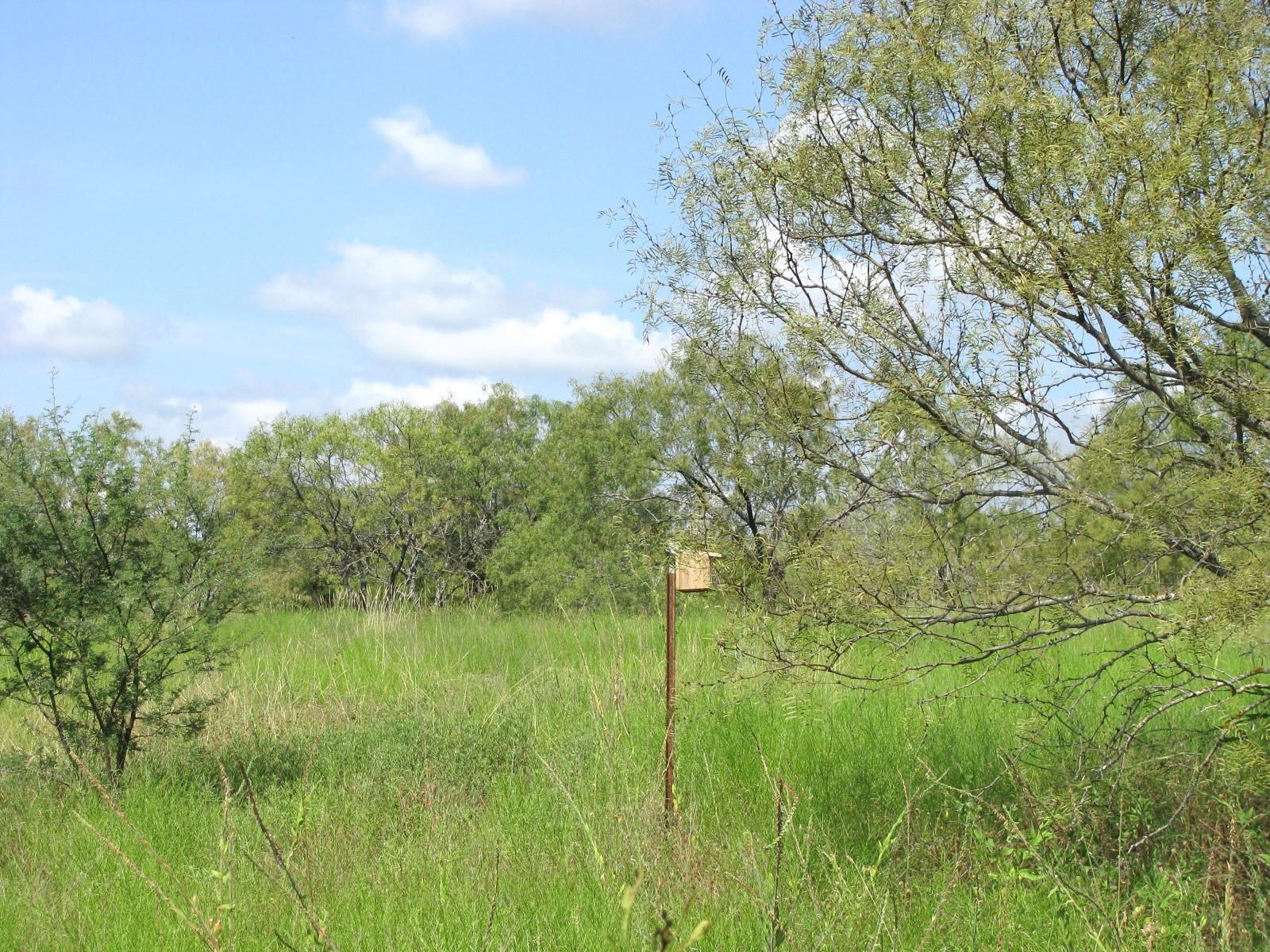 main property photo 19
