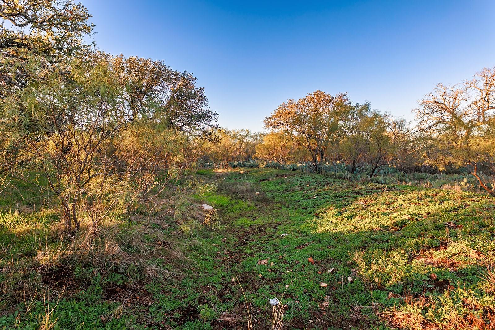 main property photo 18