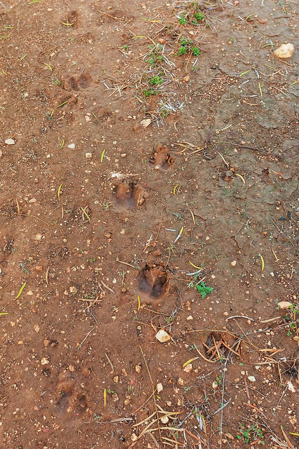 main property photo 25