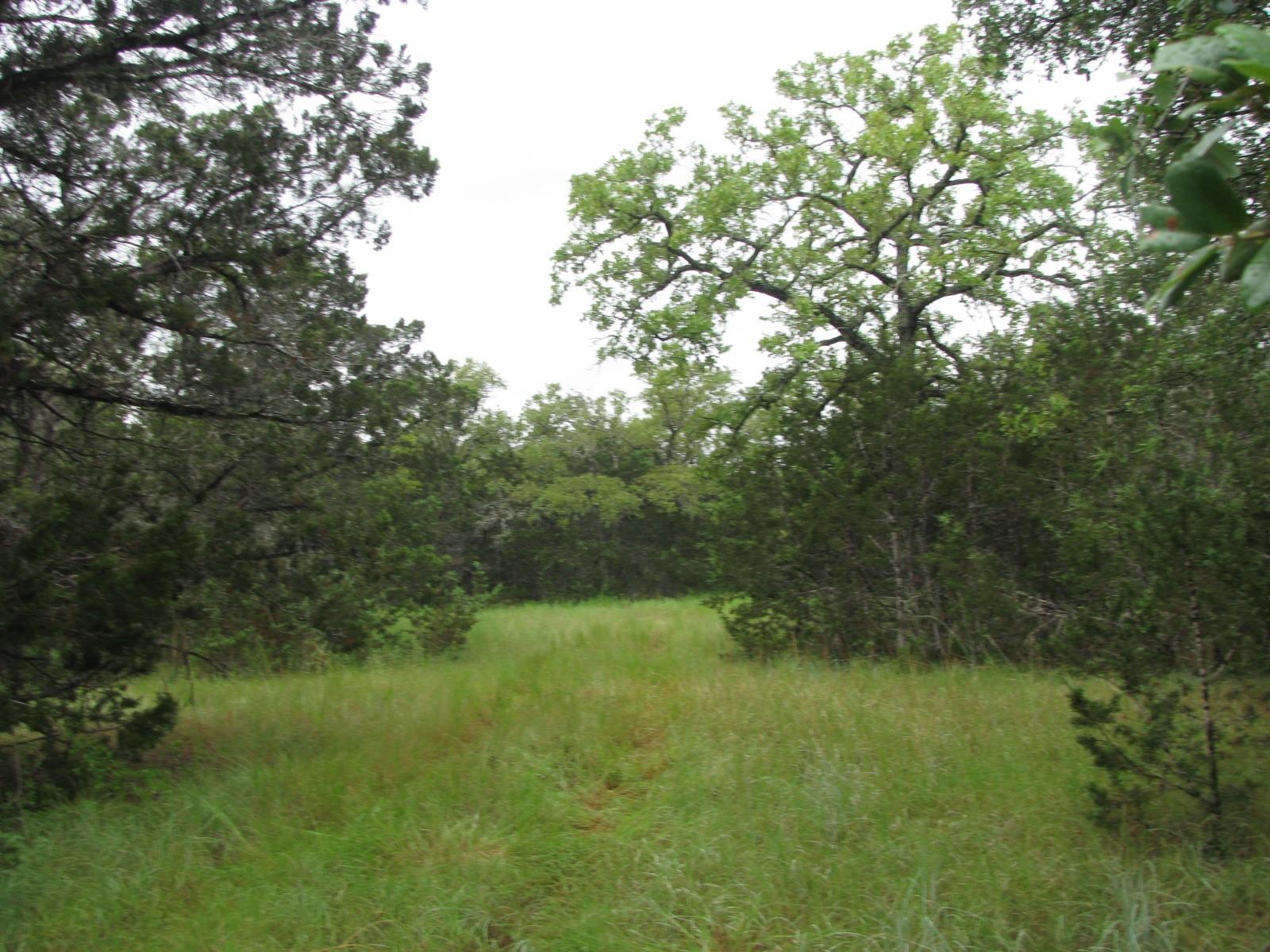 main property photo 17