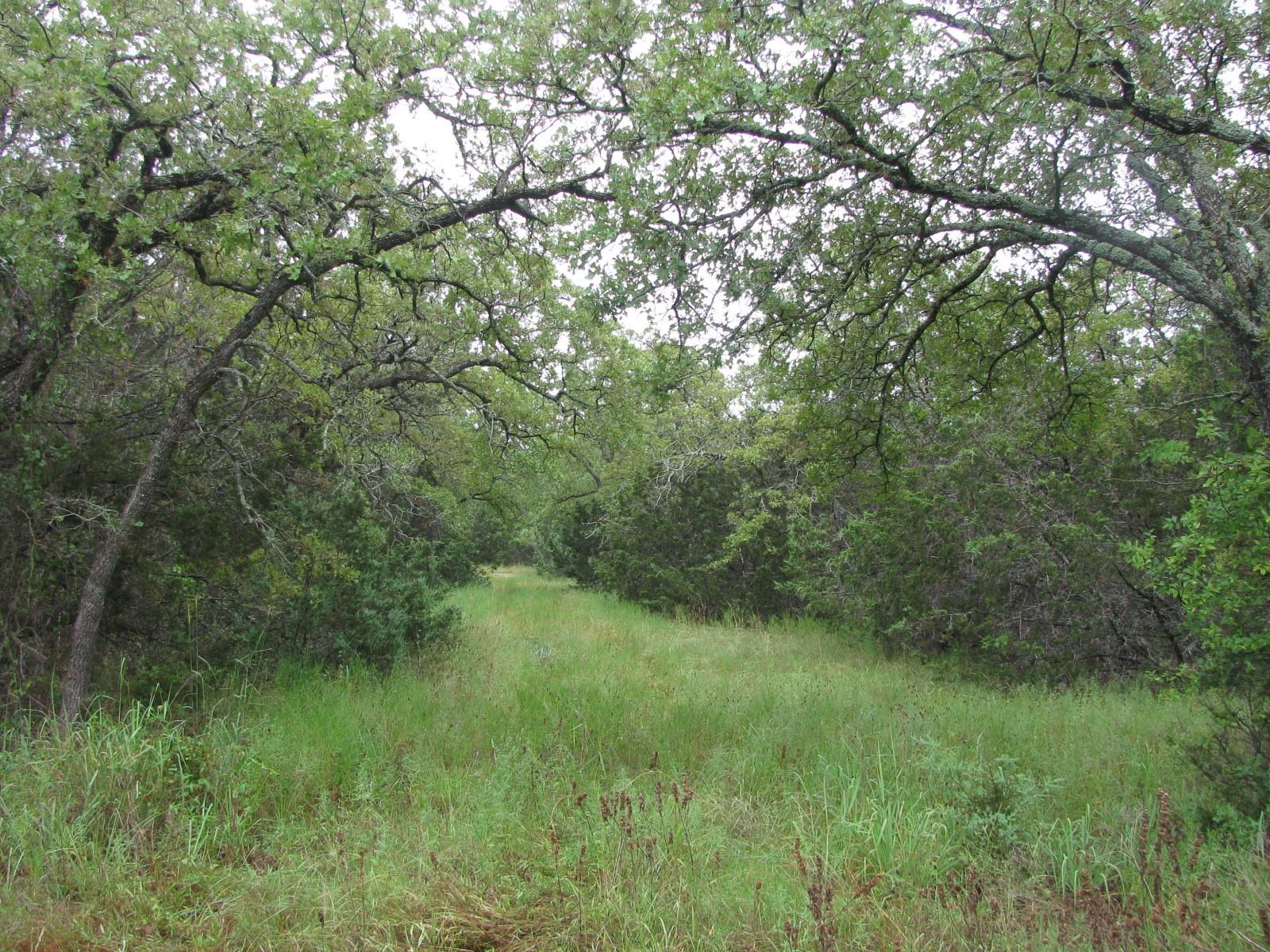 main property photo 19