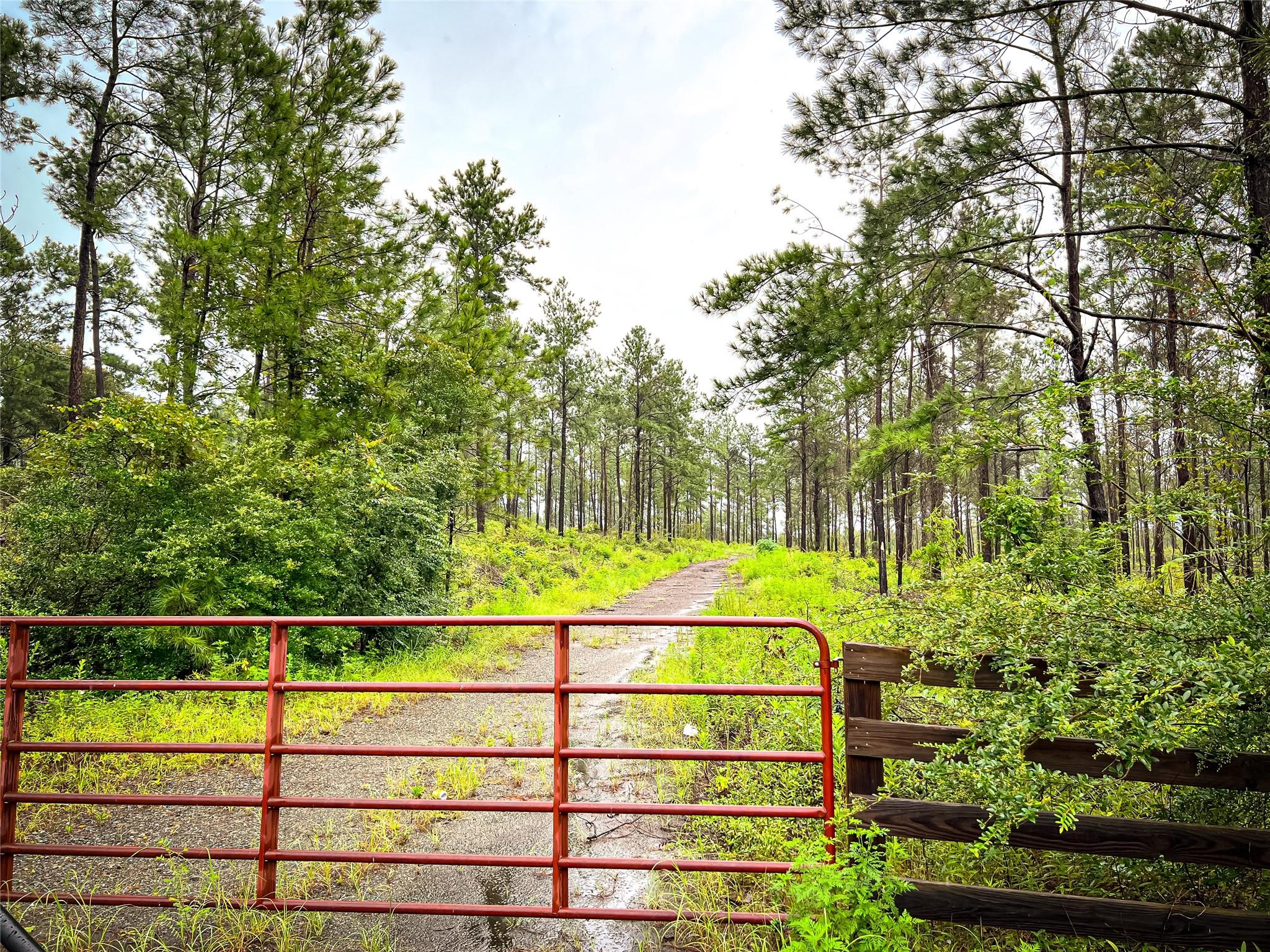 main property photo 15