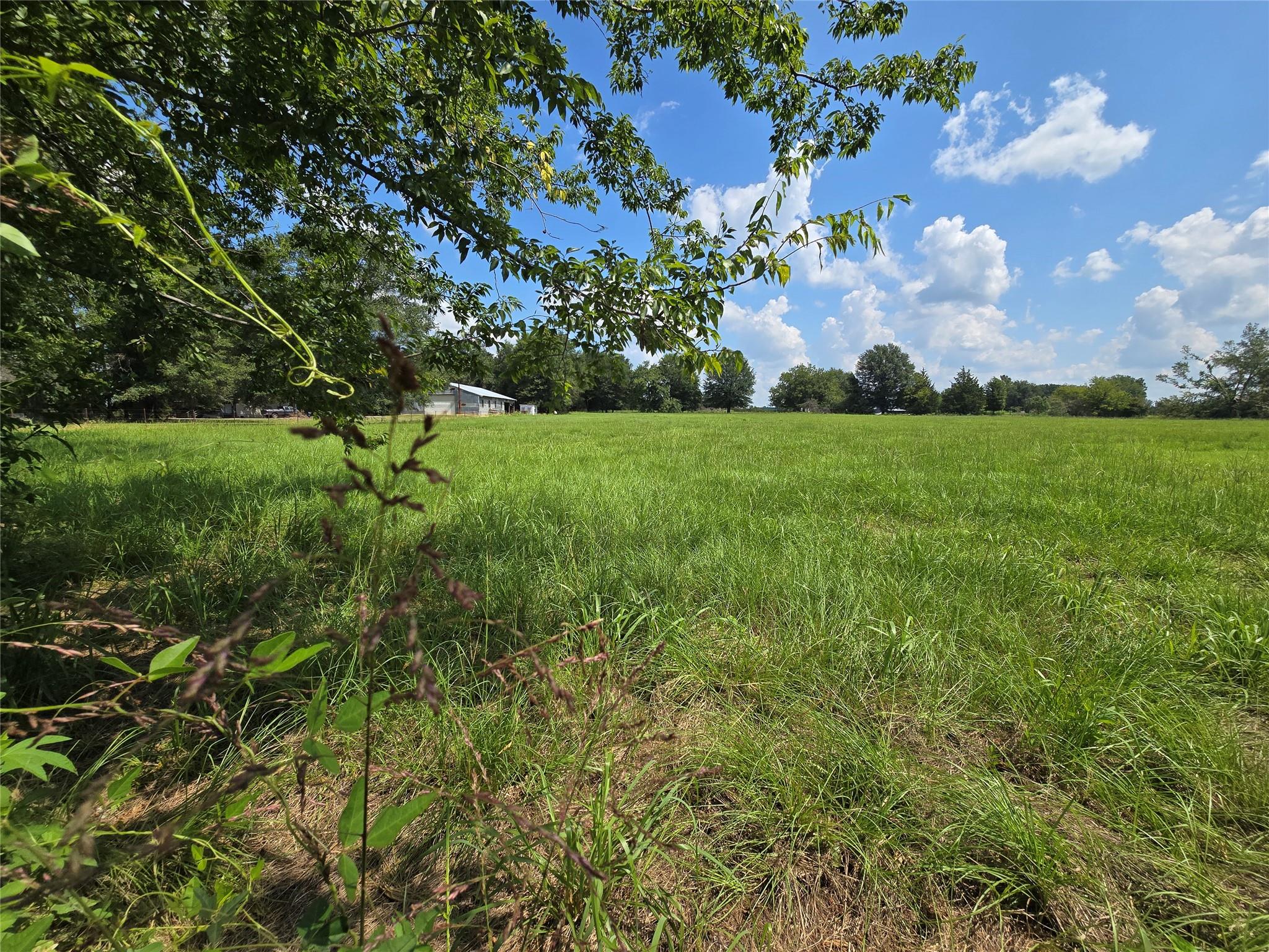 property viewer photo 5