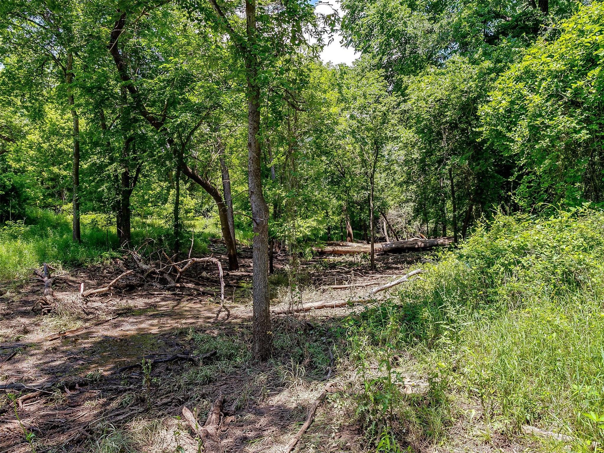 main property photo 10