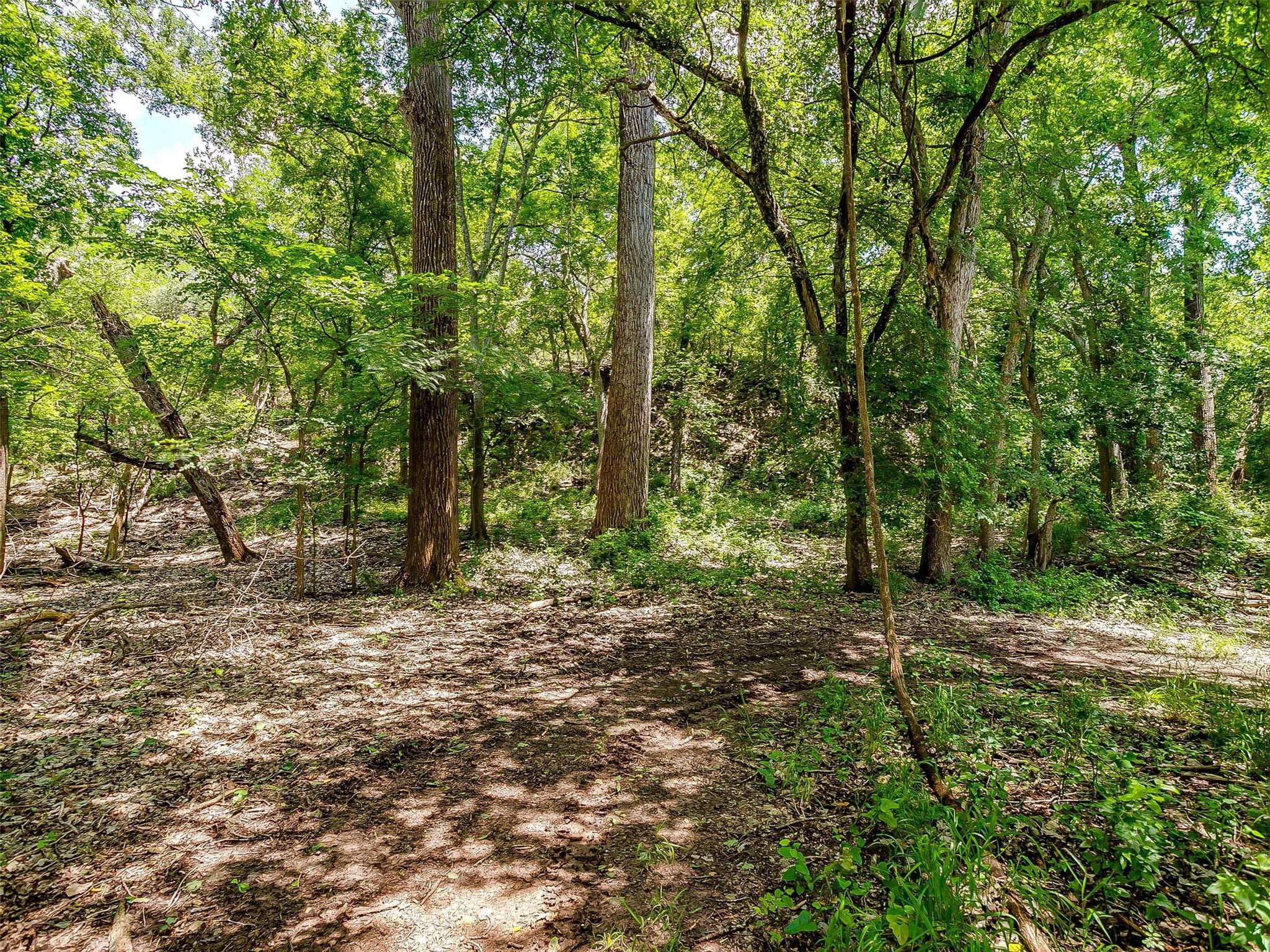 main property photo 11