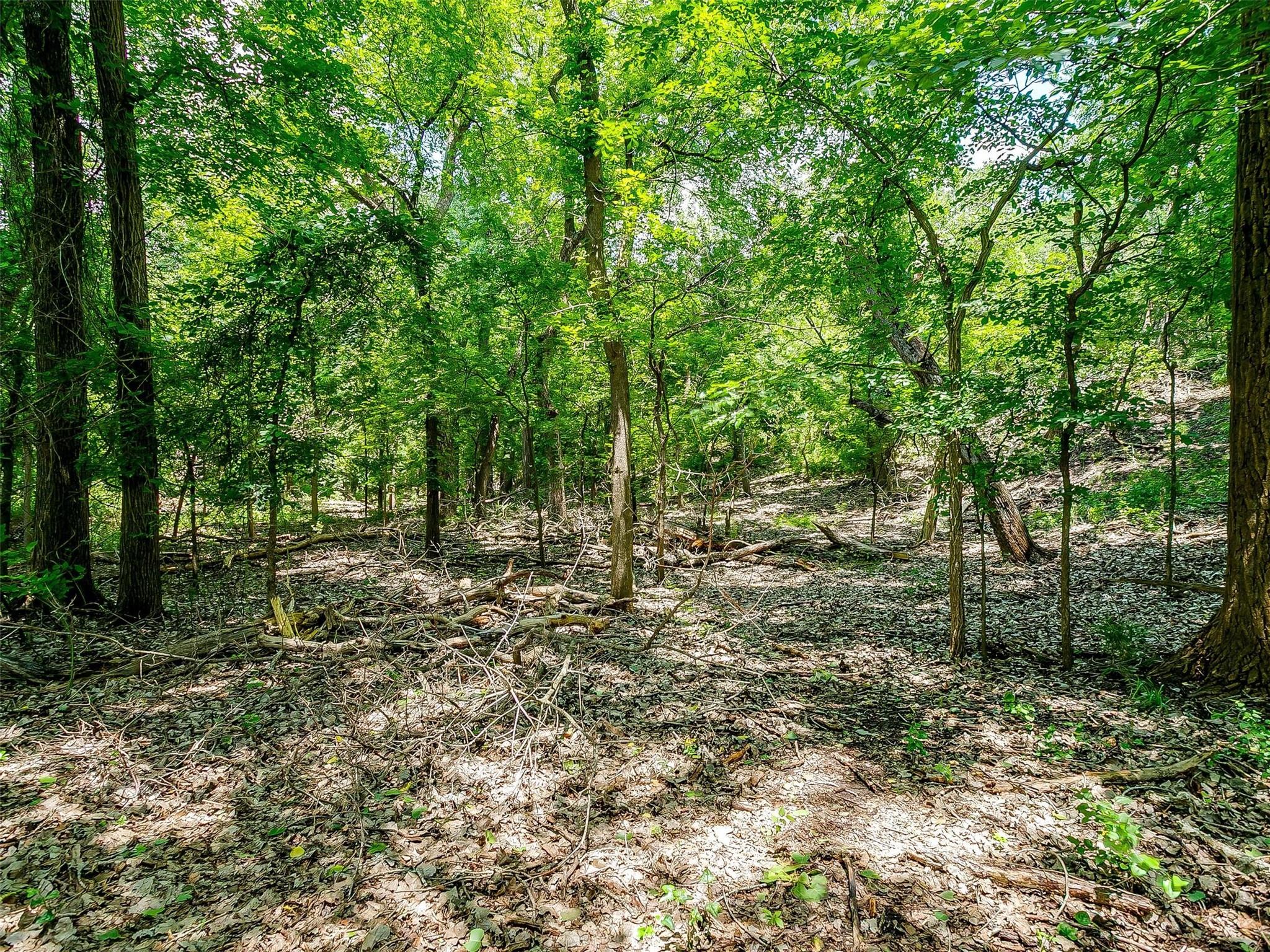main property photo 13