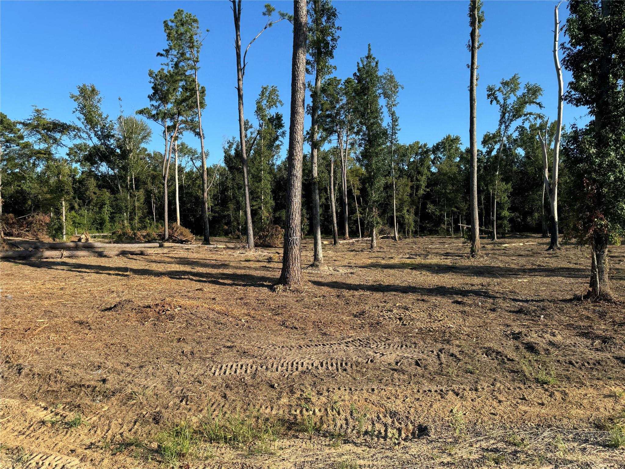 main property photo 13
