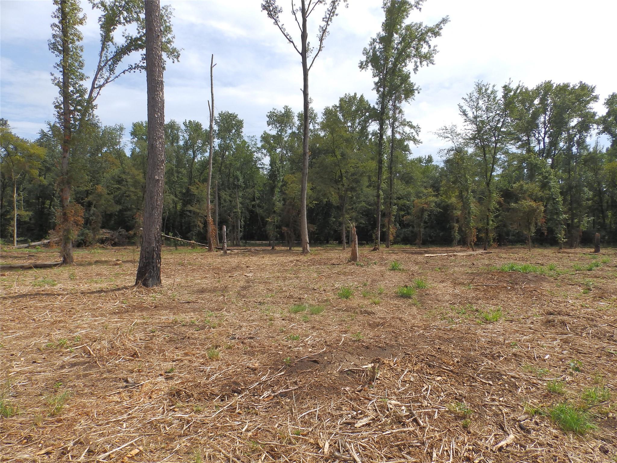 main property photo 13
