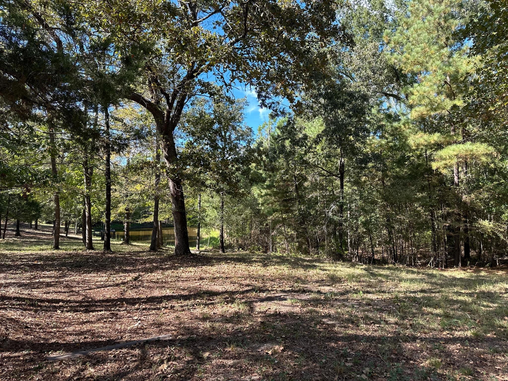main property photo 11
