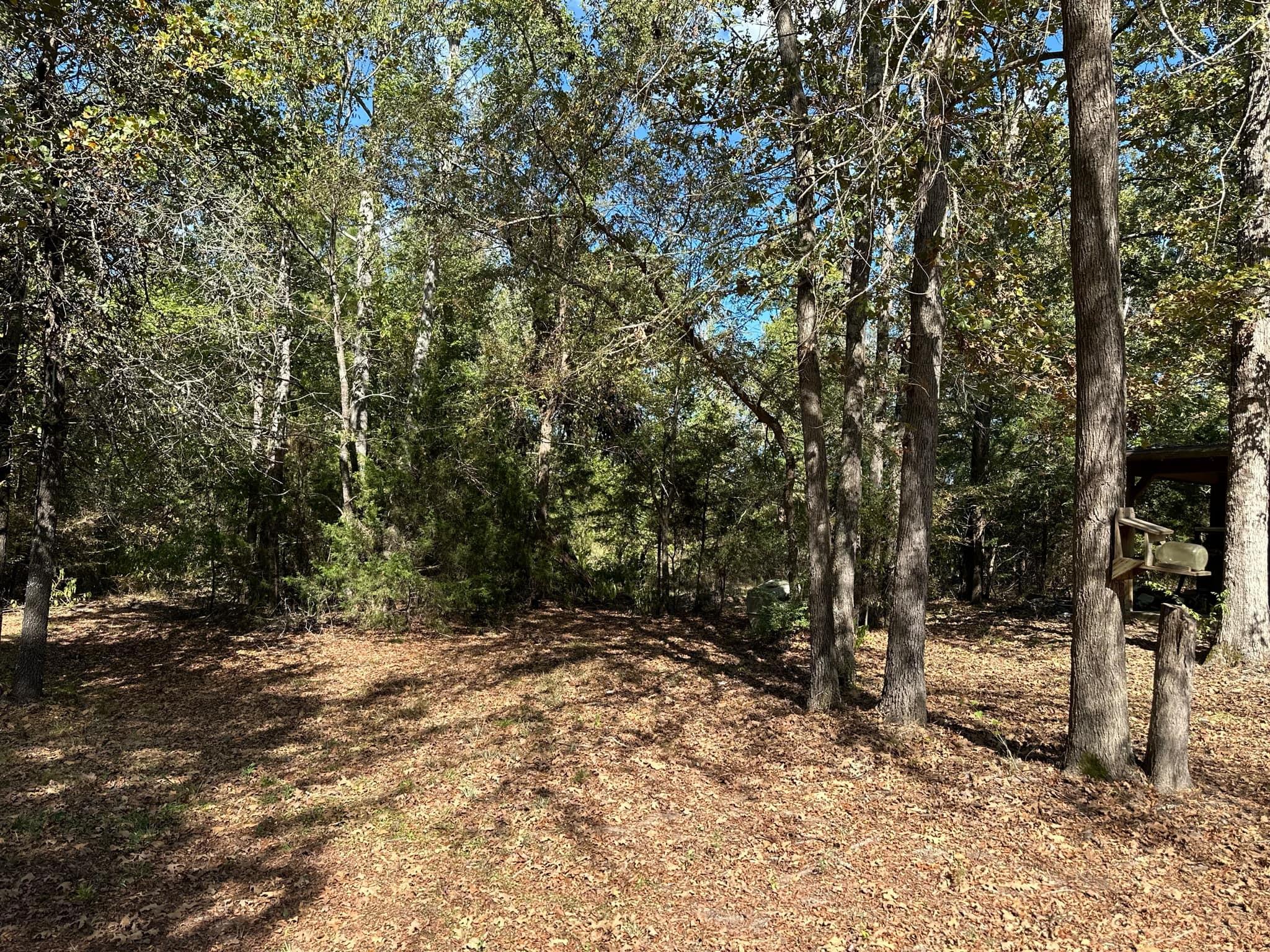 main property photo 18