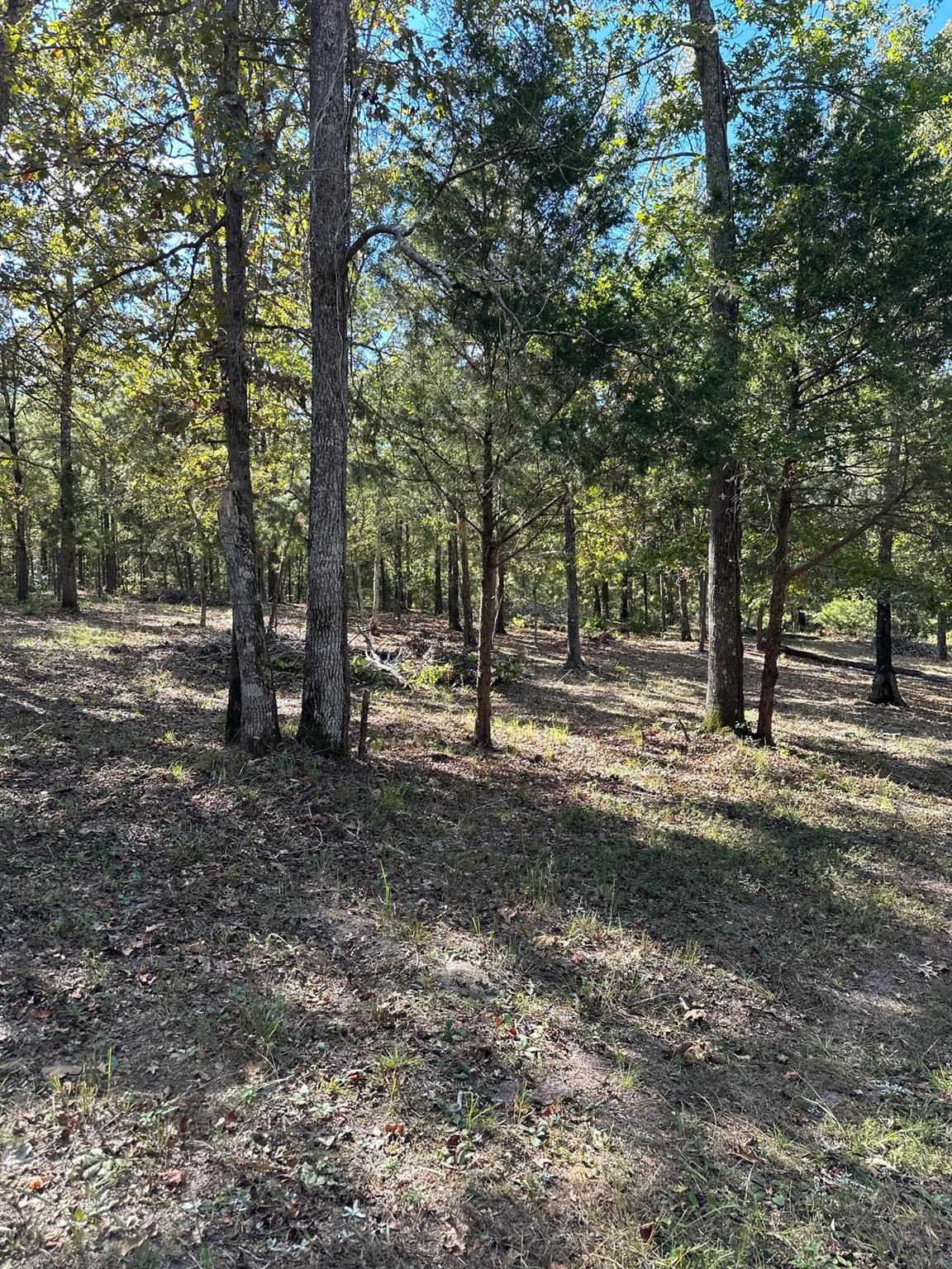 main property photo 20