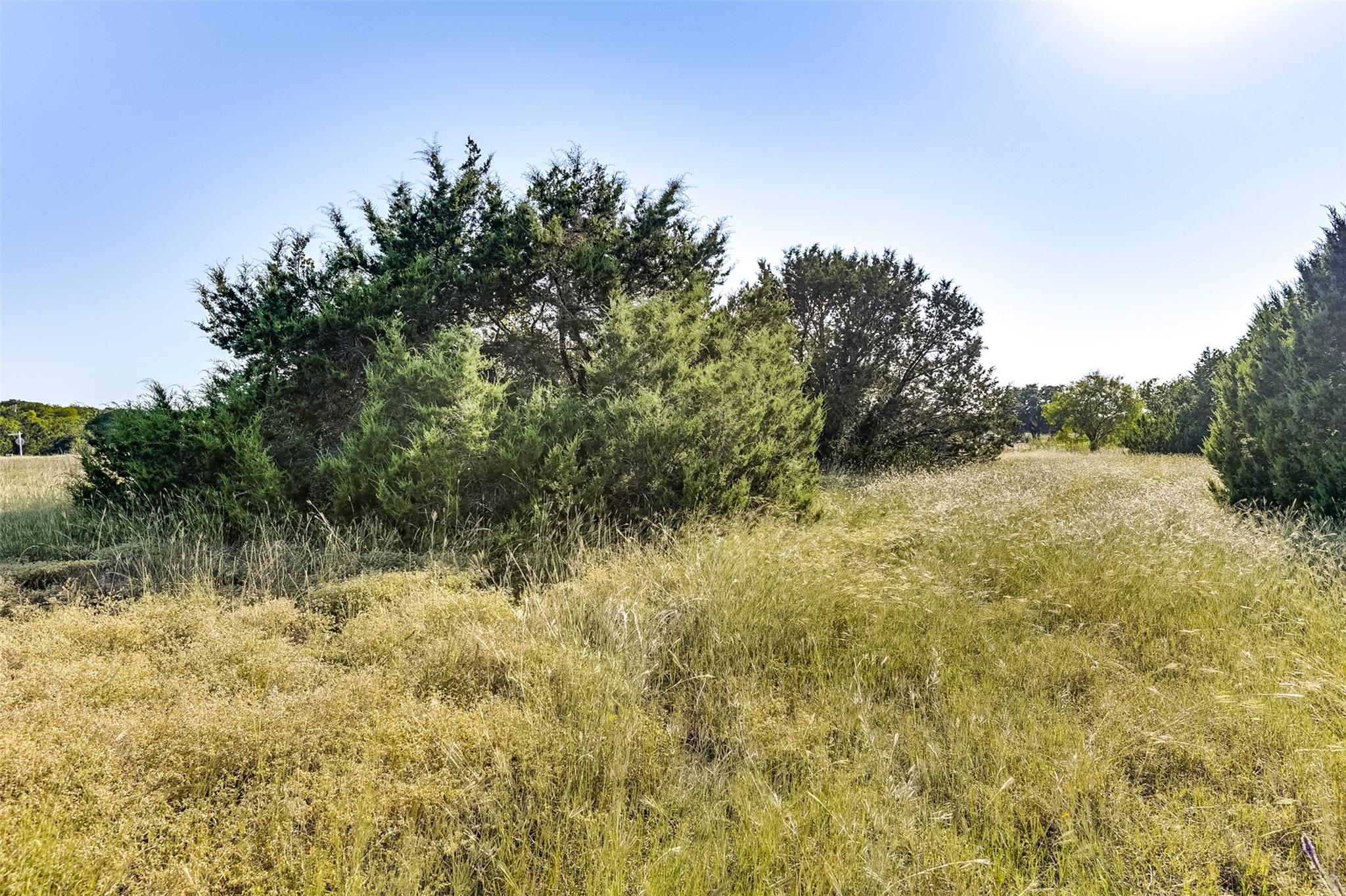 main property photo 11