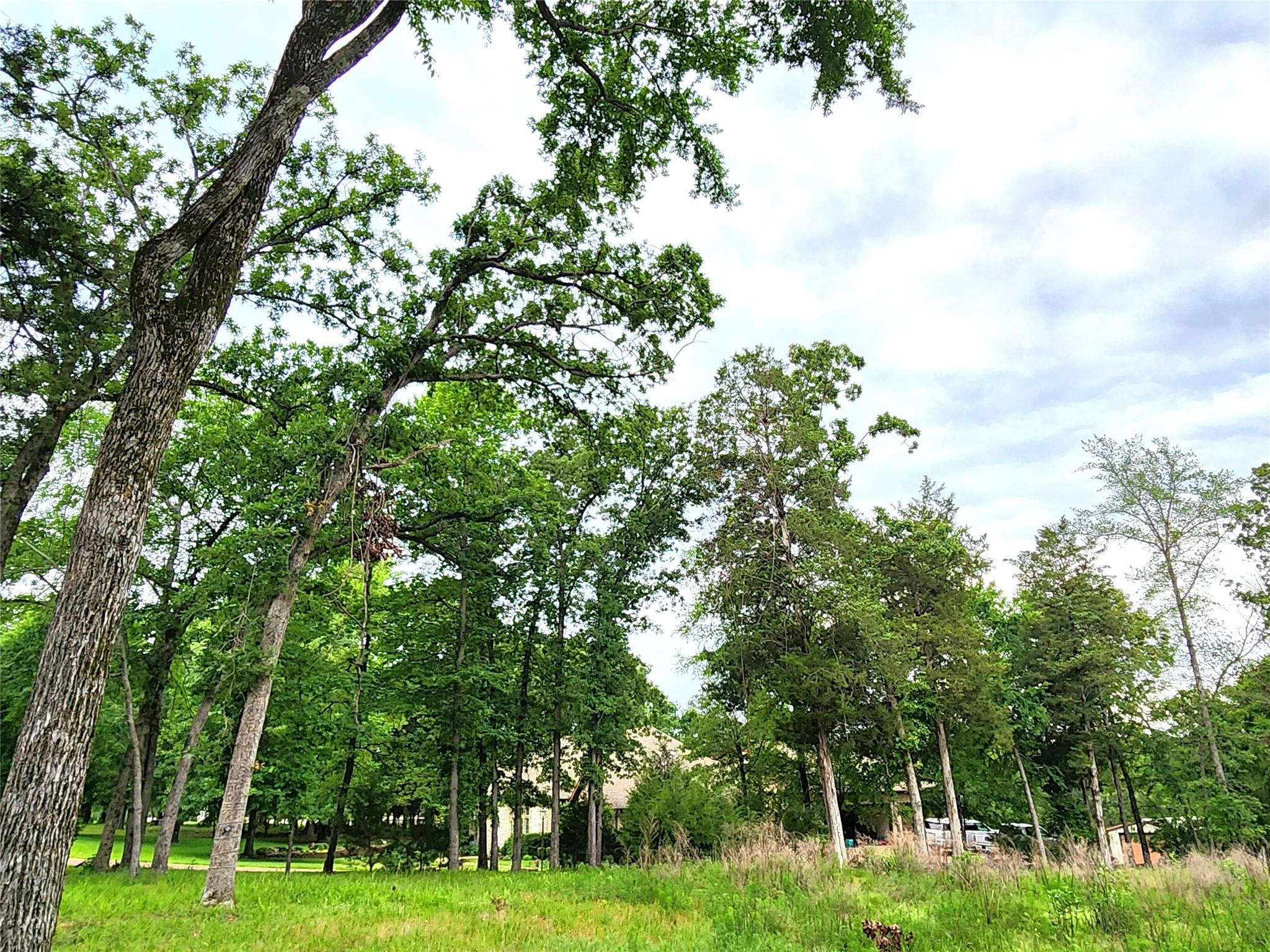 main property photo 13