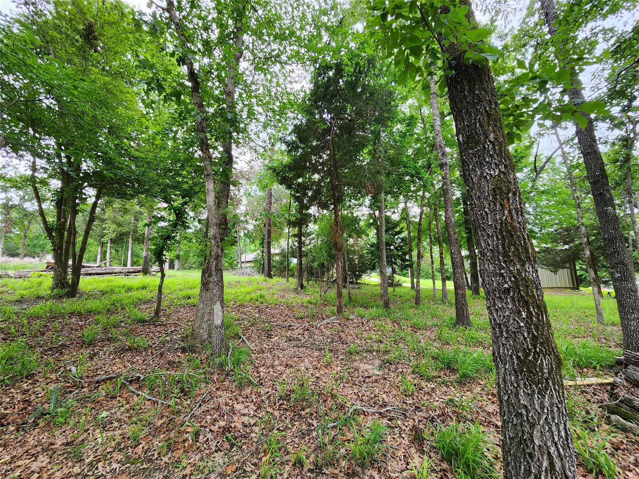 main property photo 31