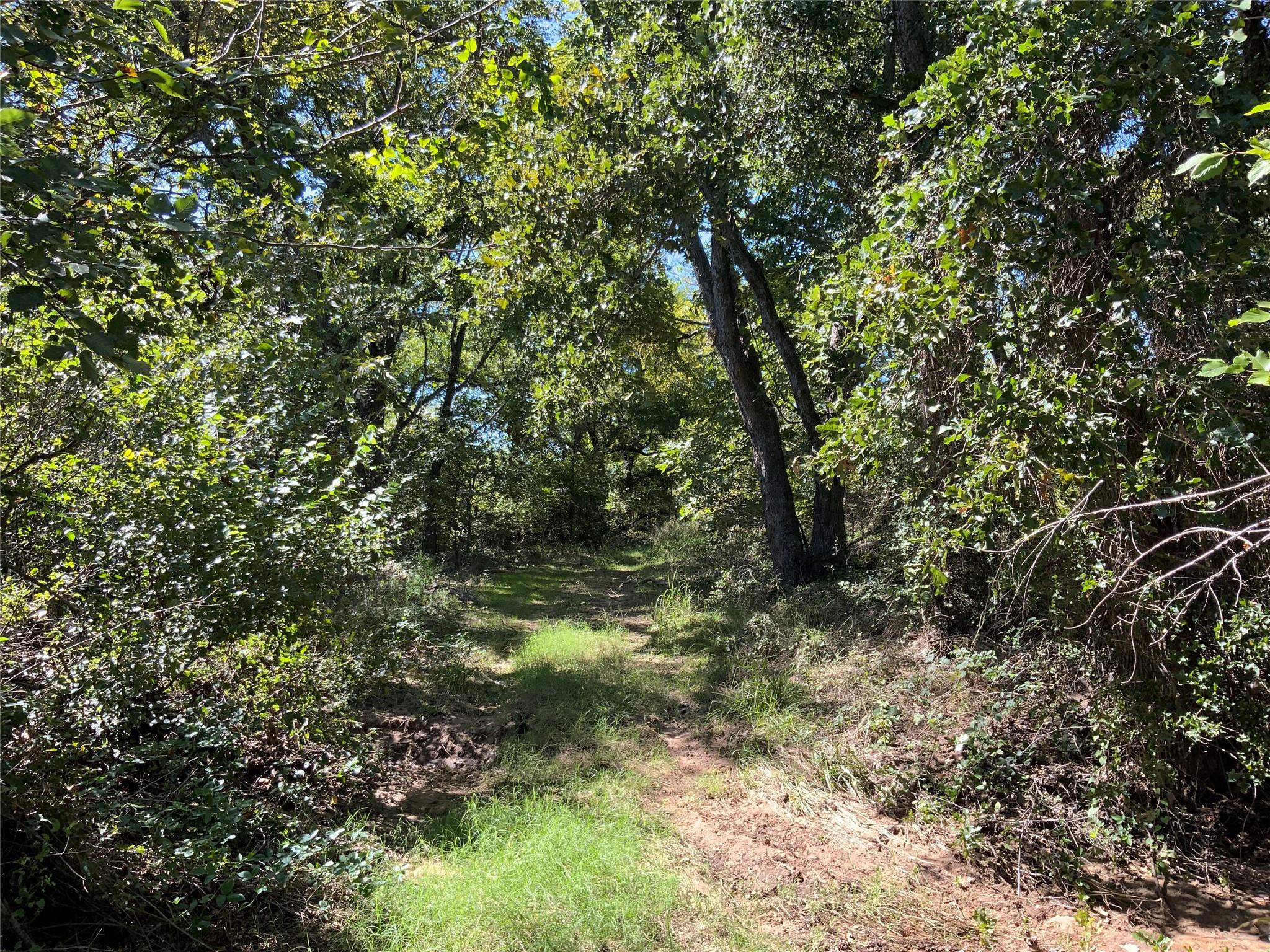 main property photo 17