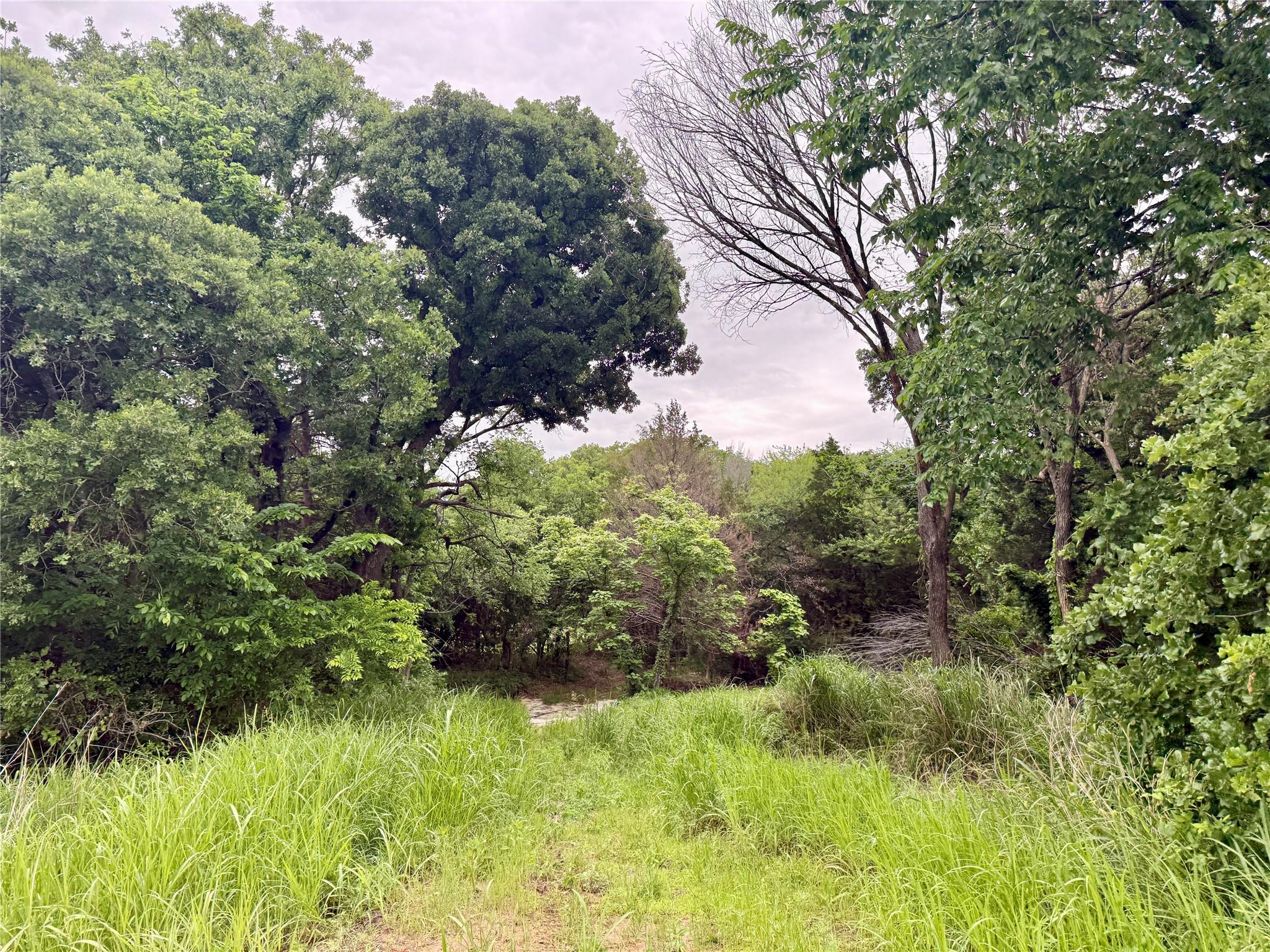 main property photo 16