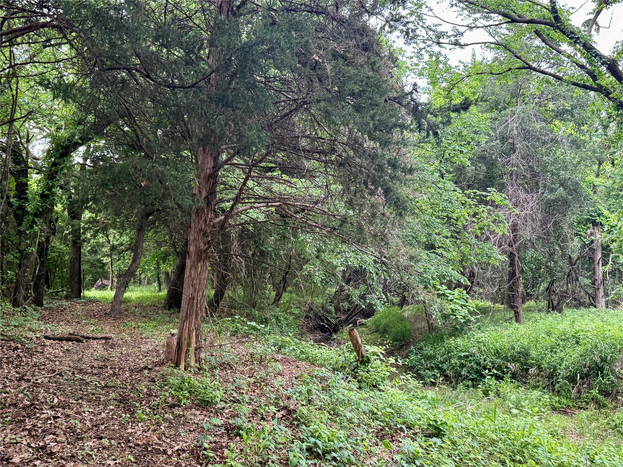 main property photo 30
