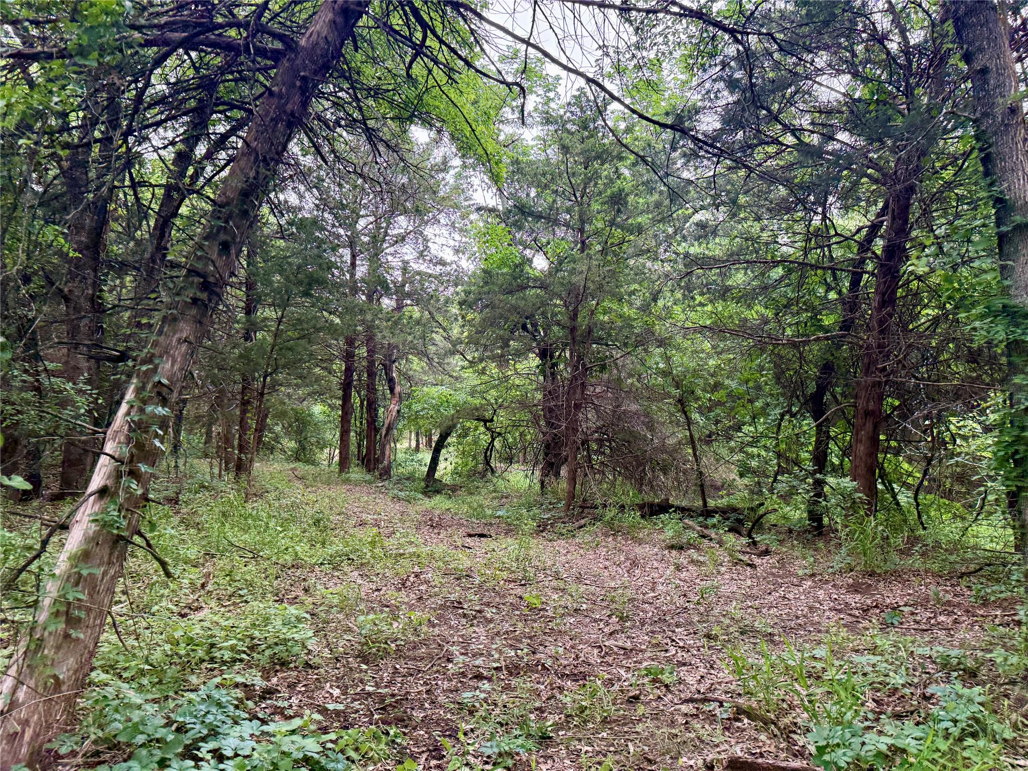 main property photo 33