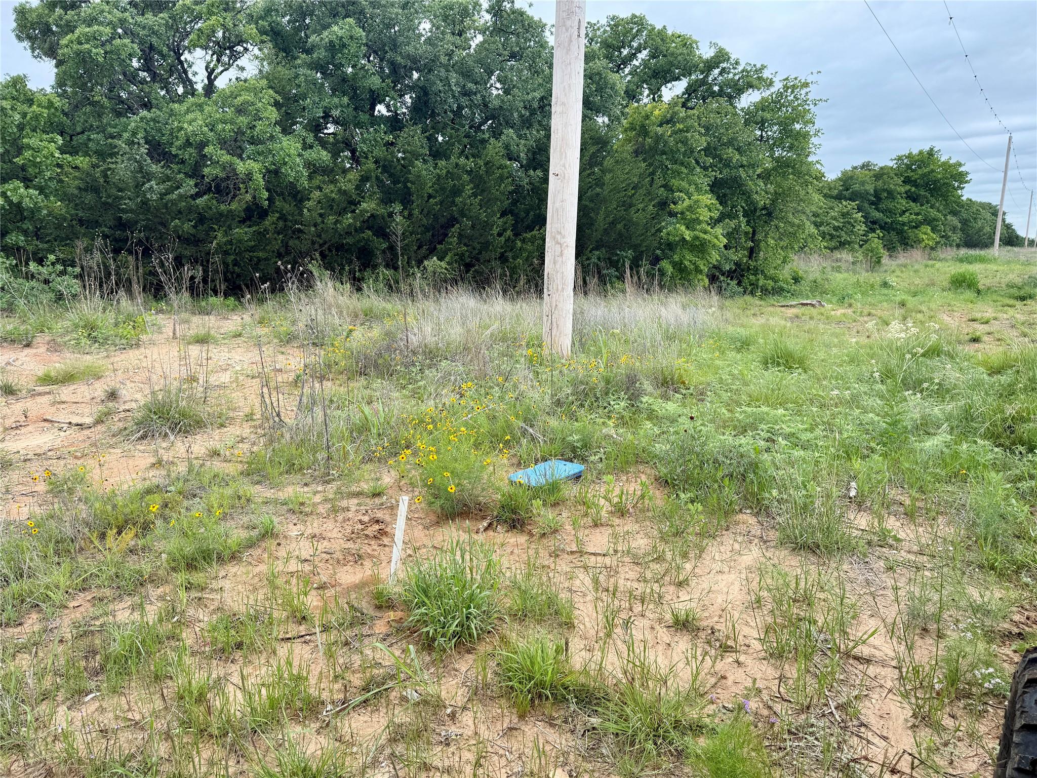 main property photo 39