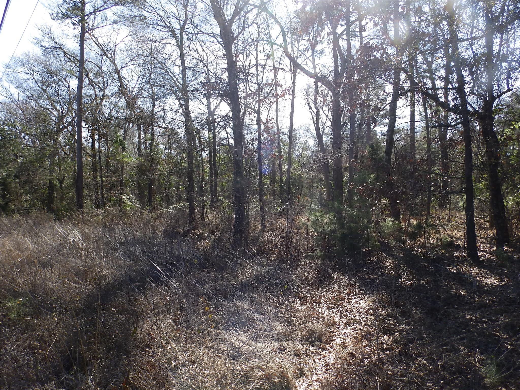 main property photo 34