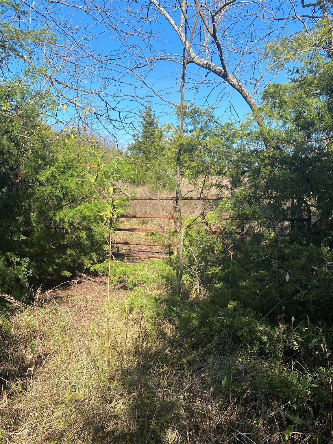 main property photo 9