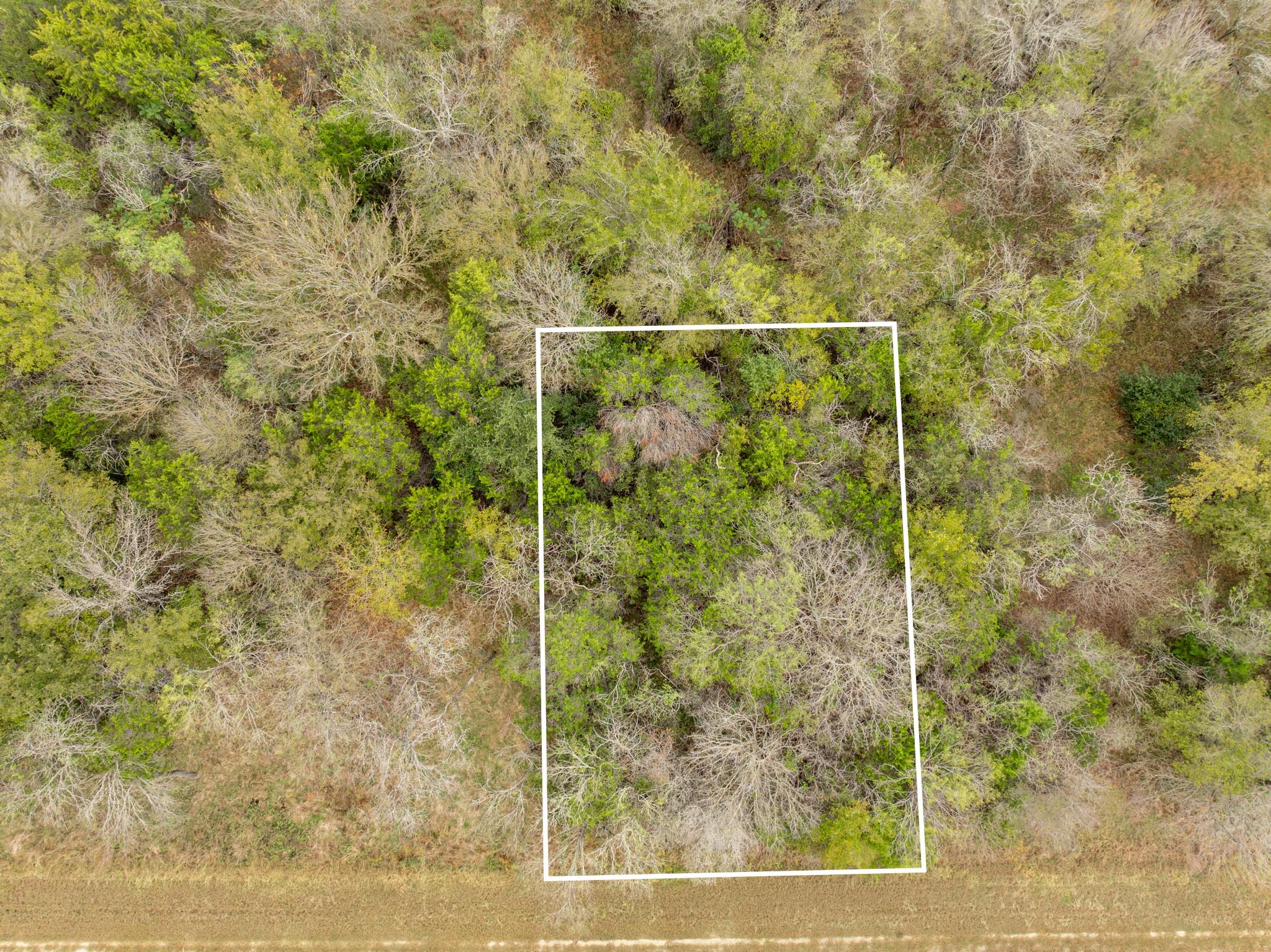 main property photo 6