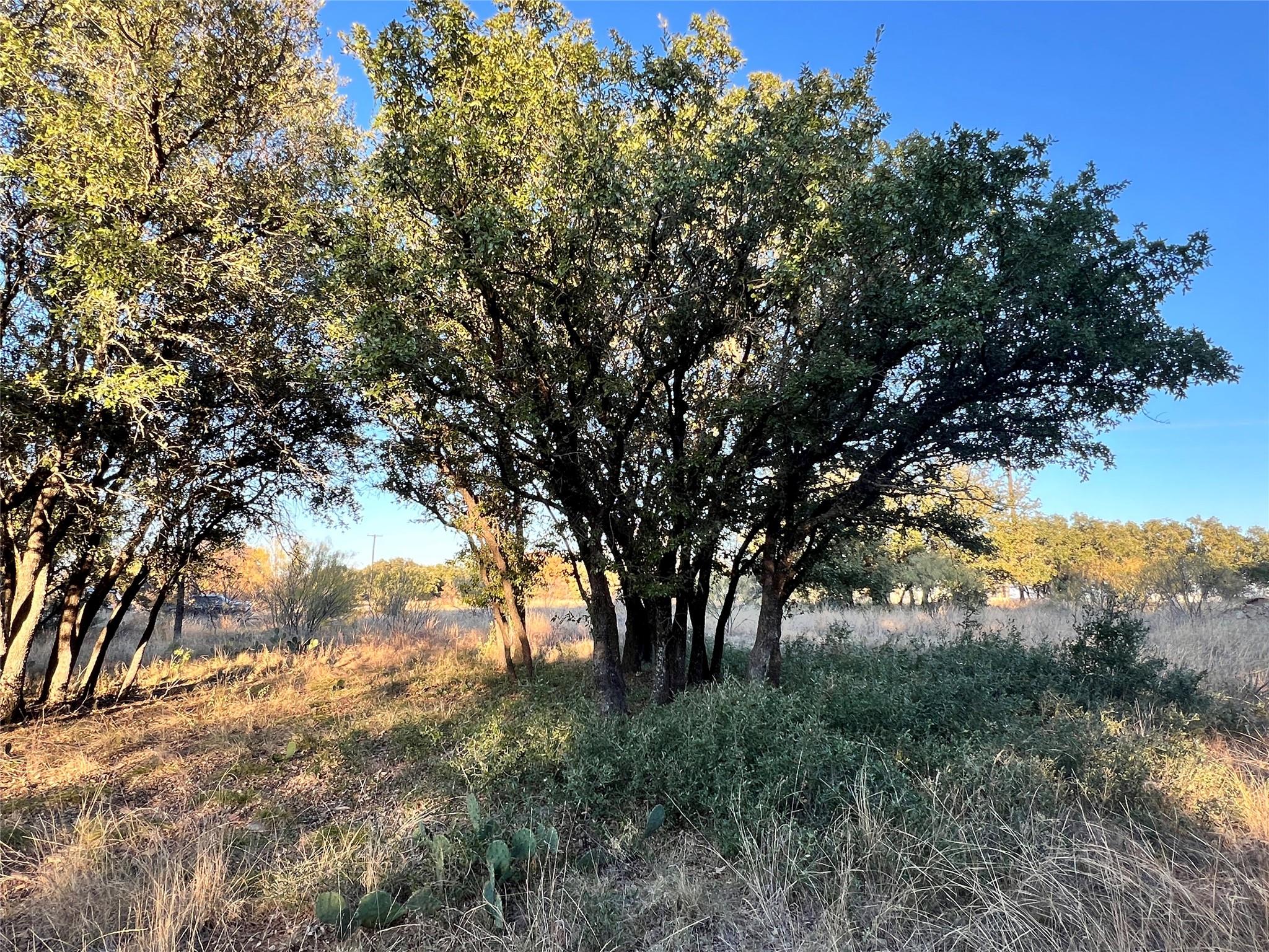 main property photo 16